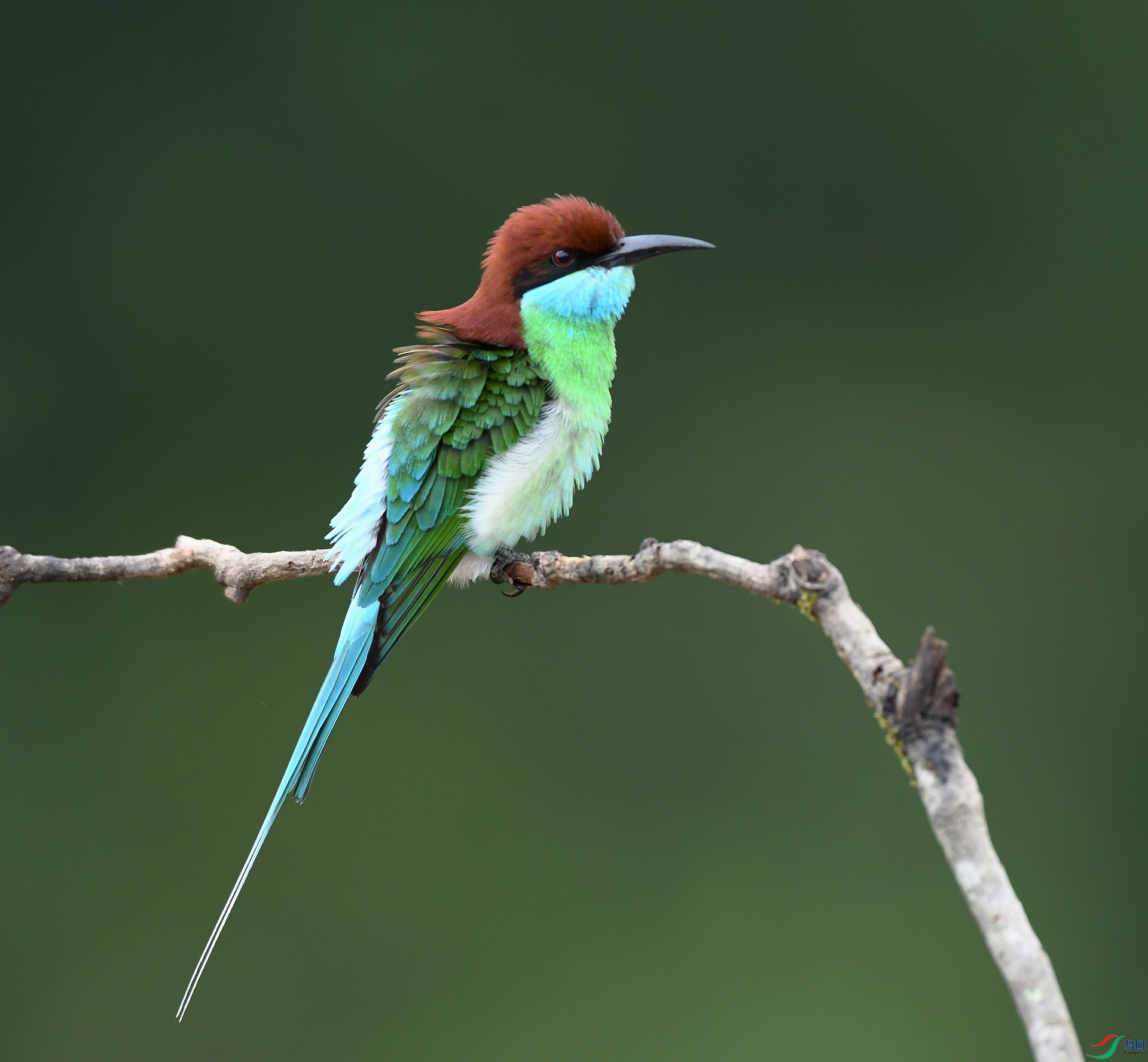 DSC_1394.jpg