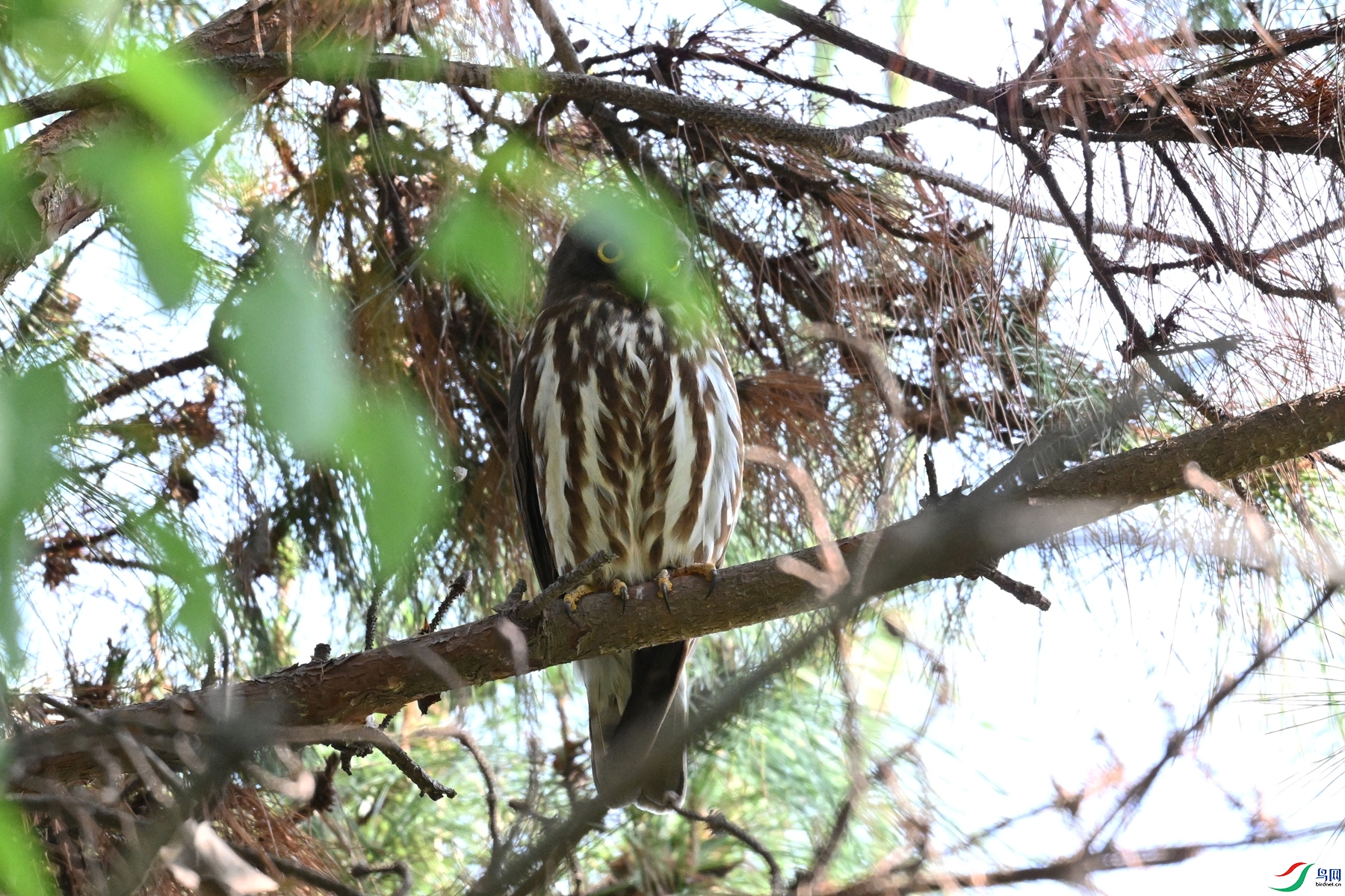 DSC_3345.JPG