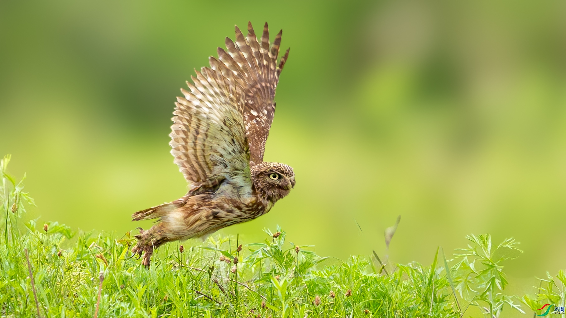 DSC01844-����ǿ-NR ����.jpg