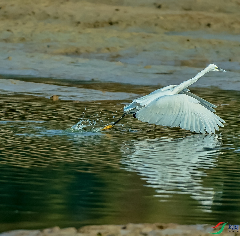 0J2A0412-0.jpg