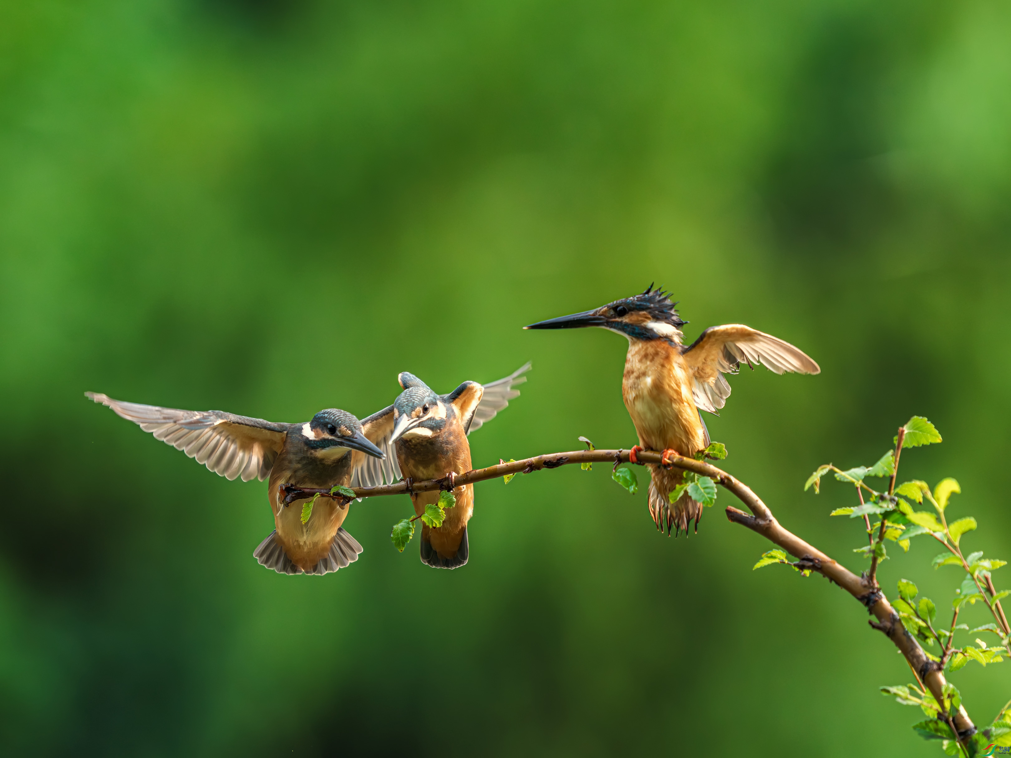a_DSC2019_����.jpg
