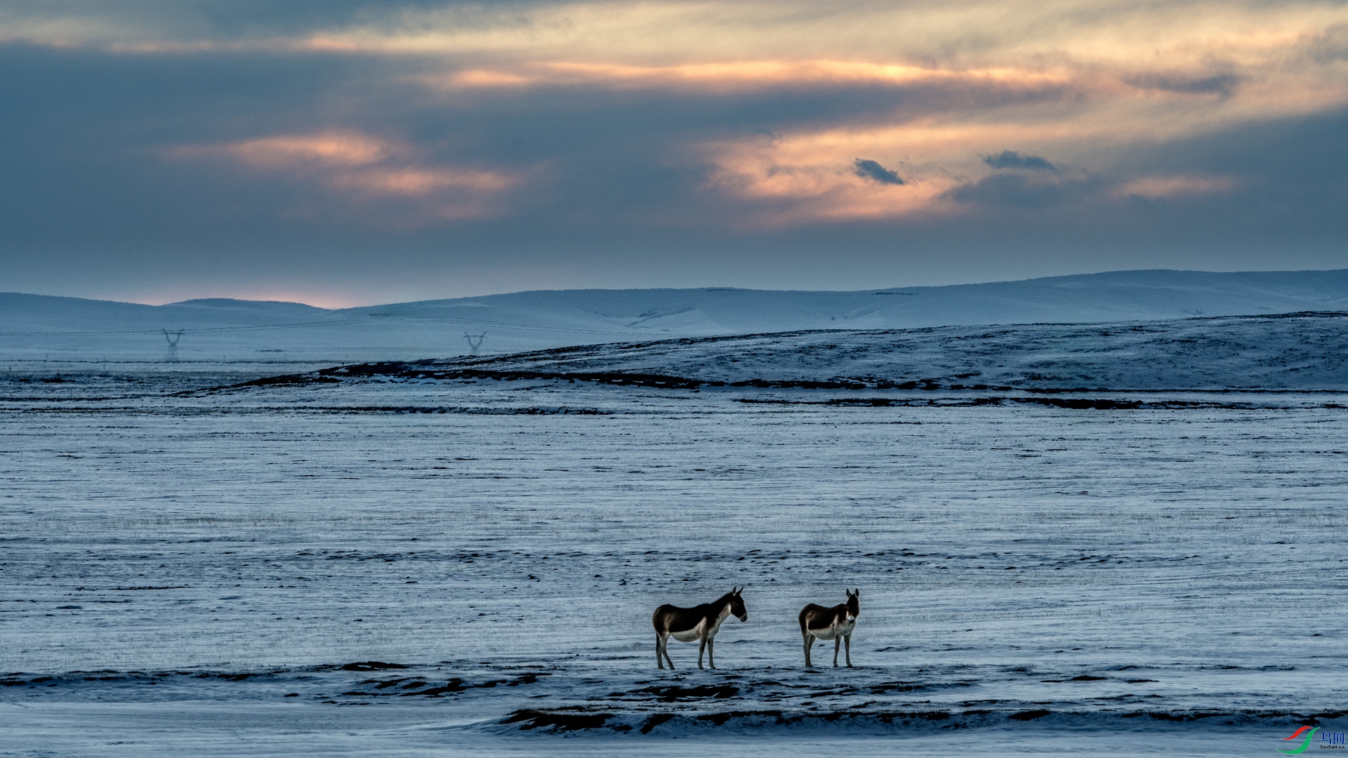 DSC_8373 ����_����.jpg