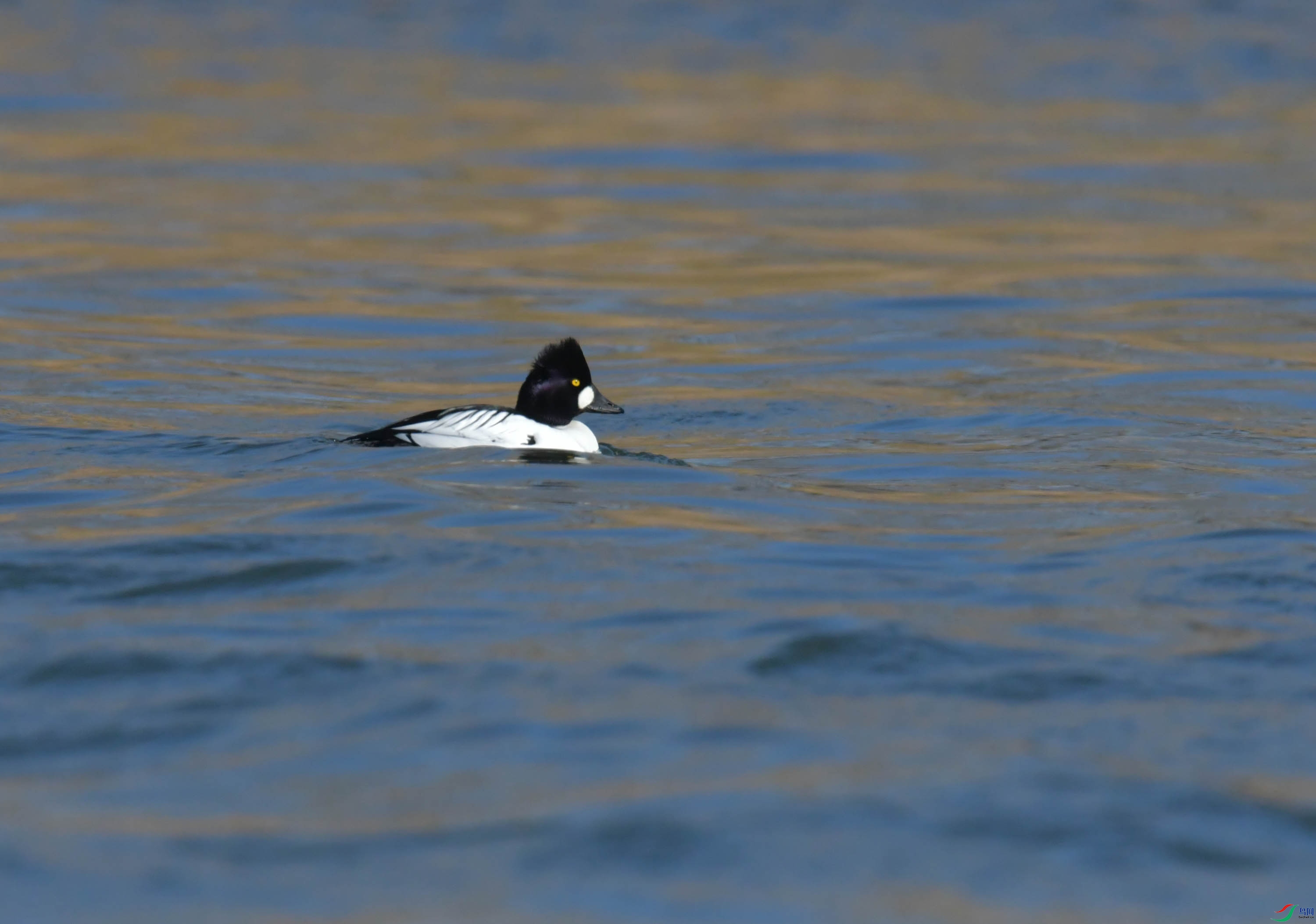 DSC_0407.JPG