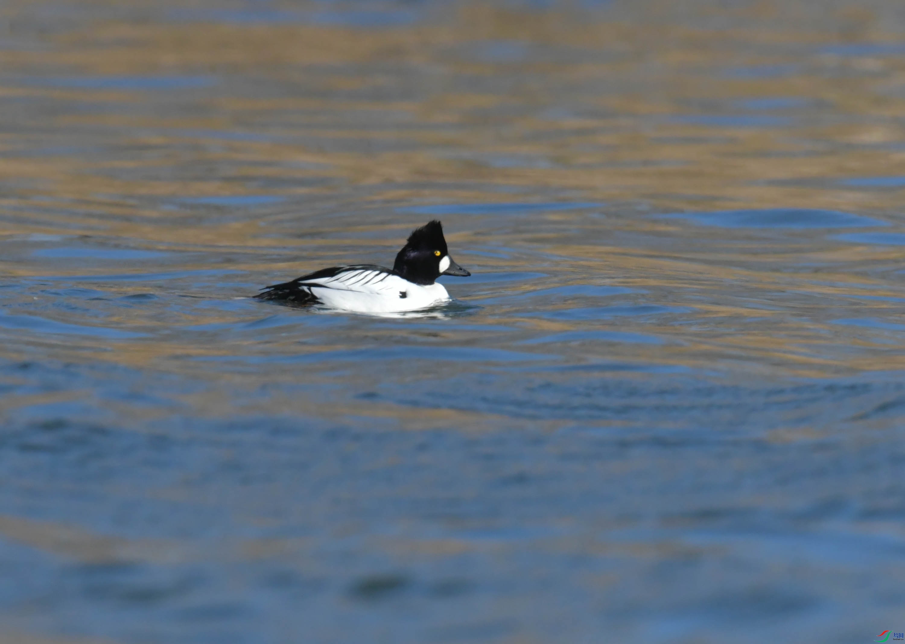 DSC_0404.JPG