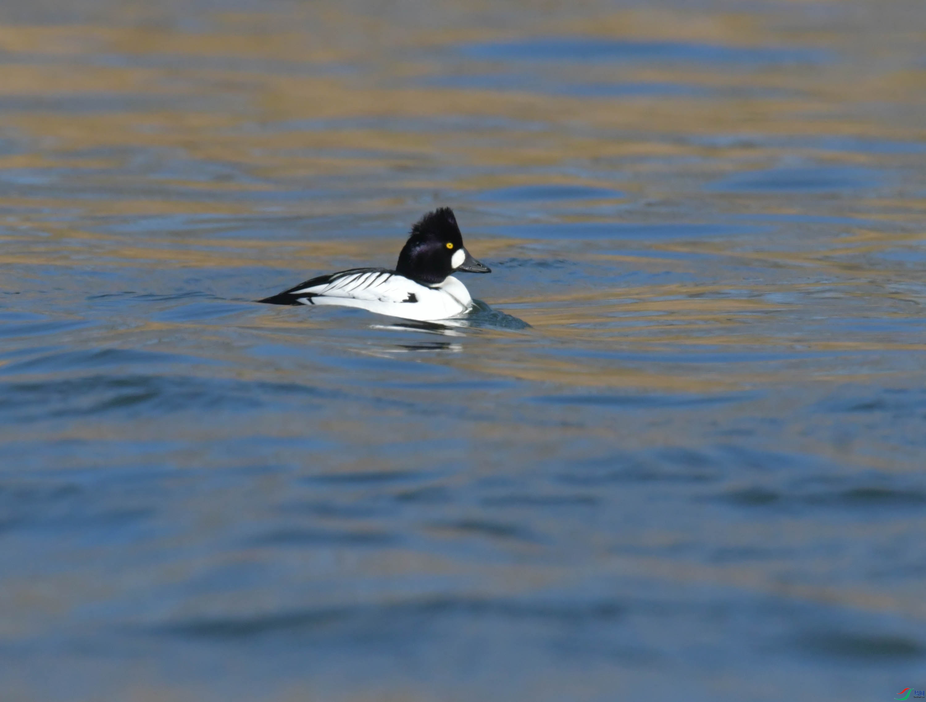 DSC_0405.JPG