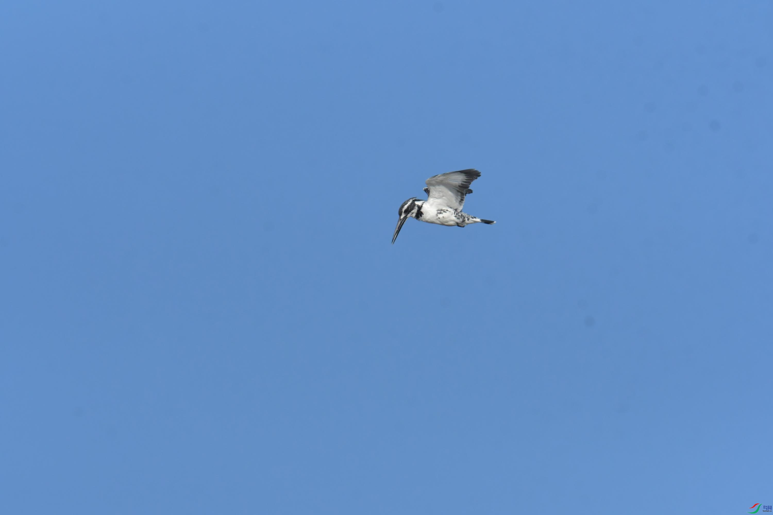 DSC_0878.JPG