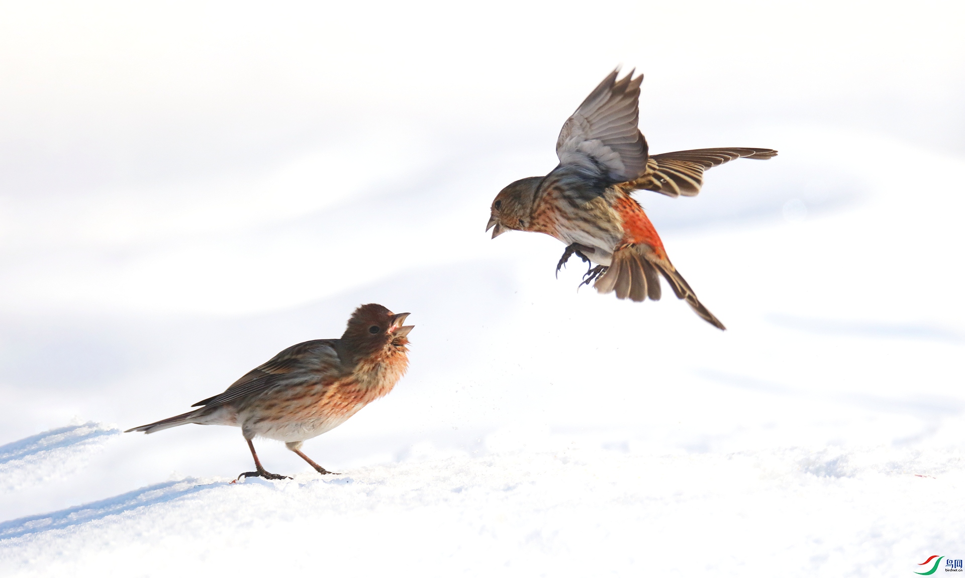 0G1A7654 ����.jpg