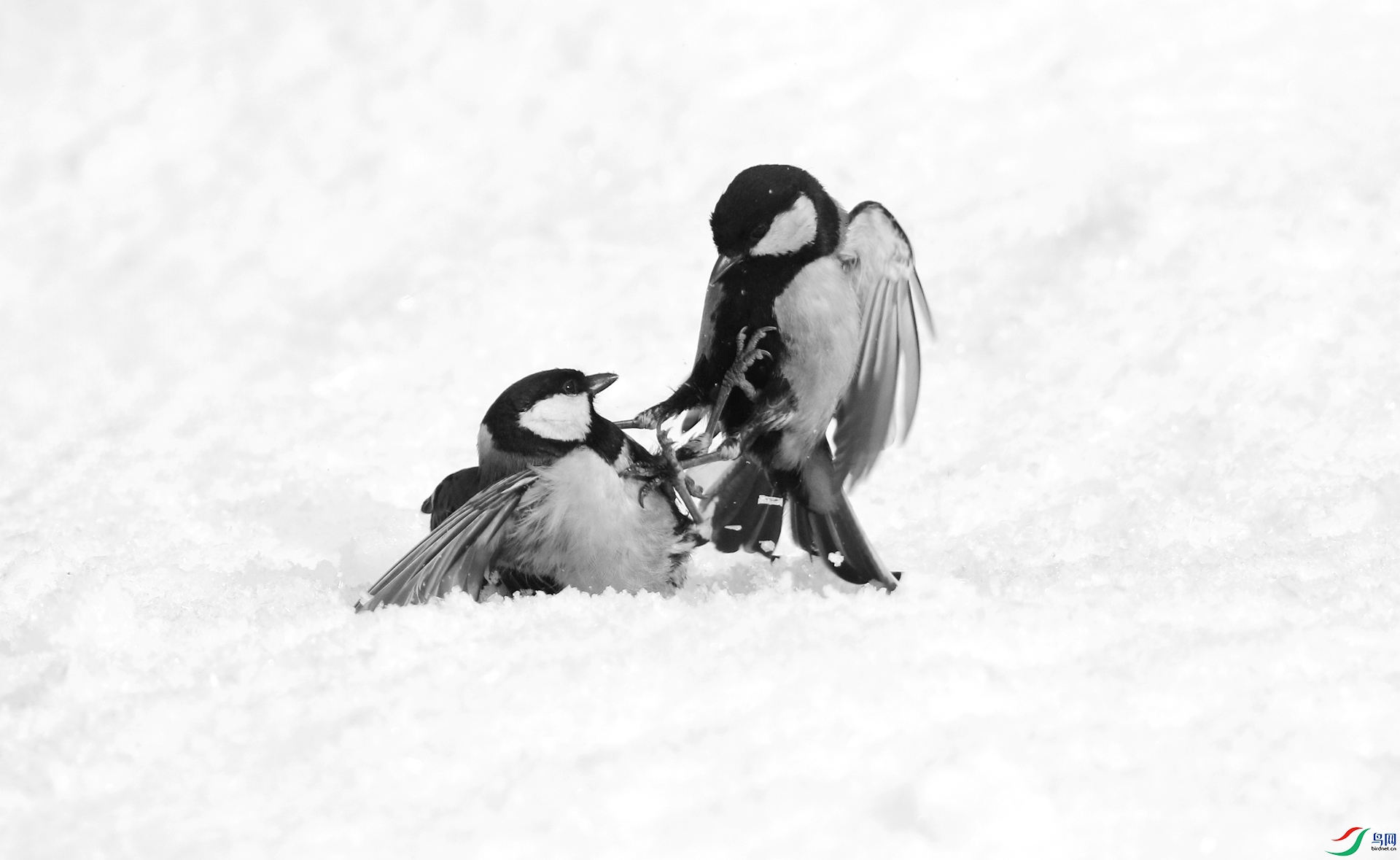 0G1A7480 ����.jpg