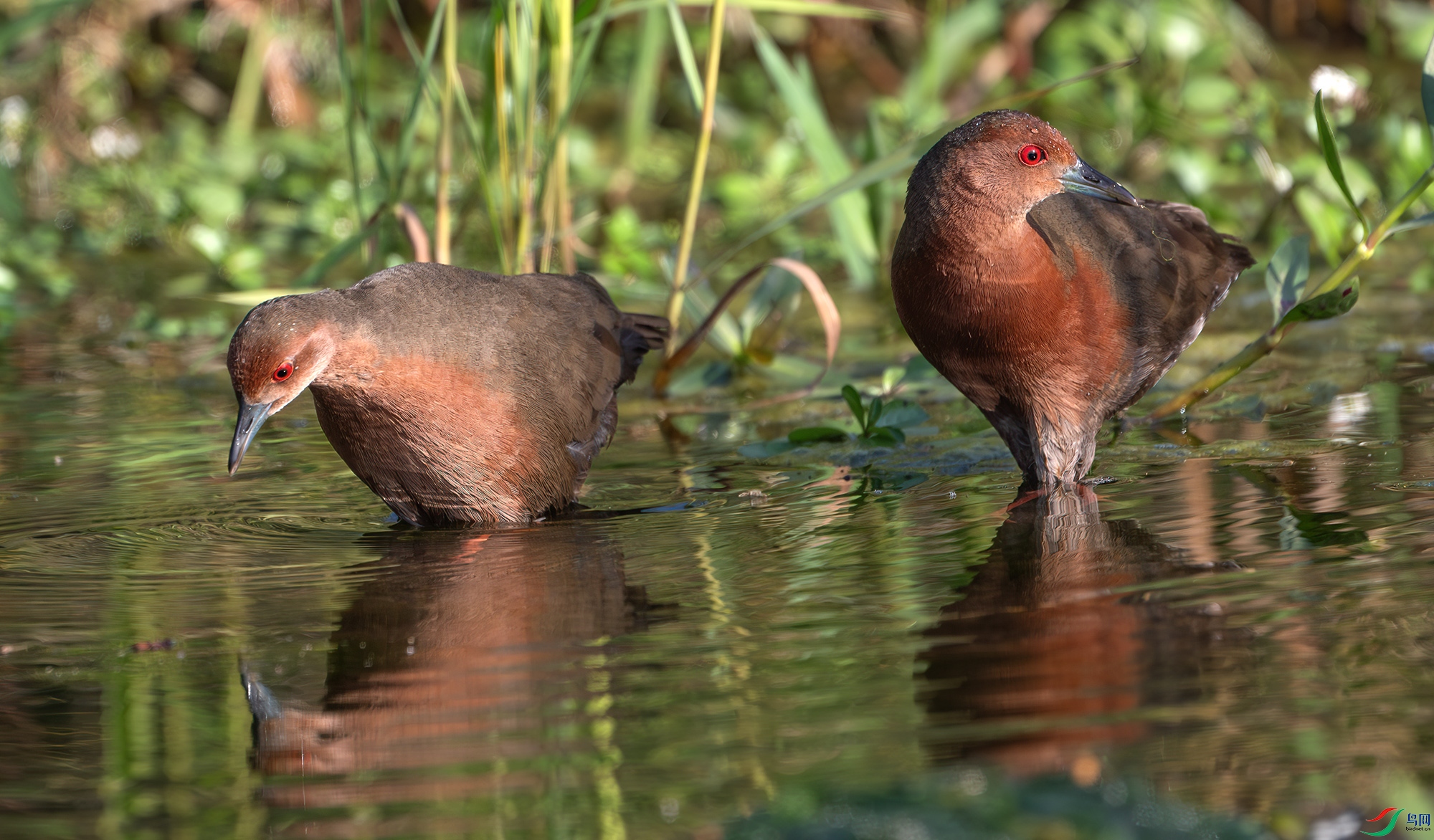 Y25_5317-����ǿ-NR ����.jpg