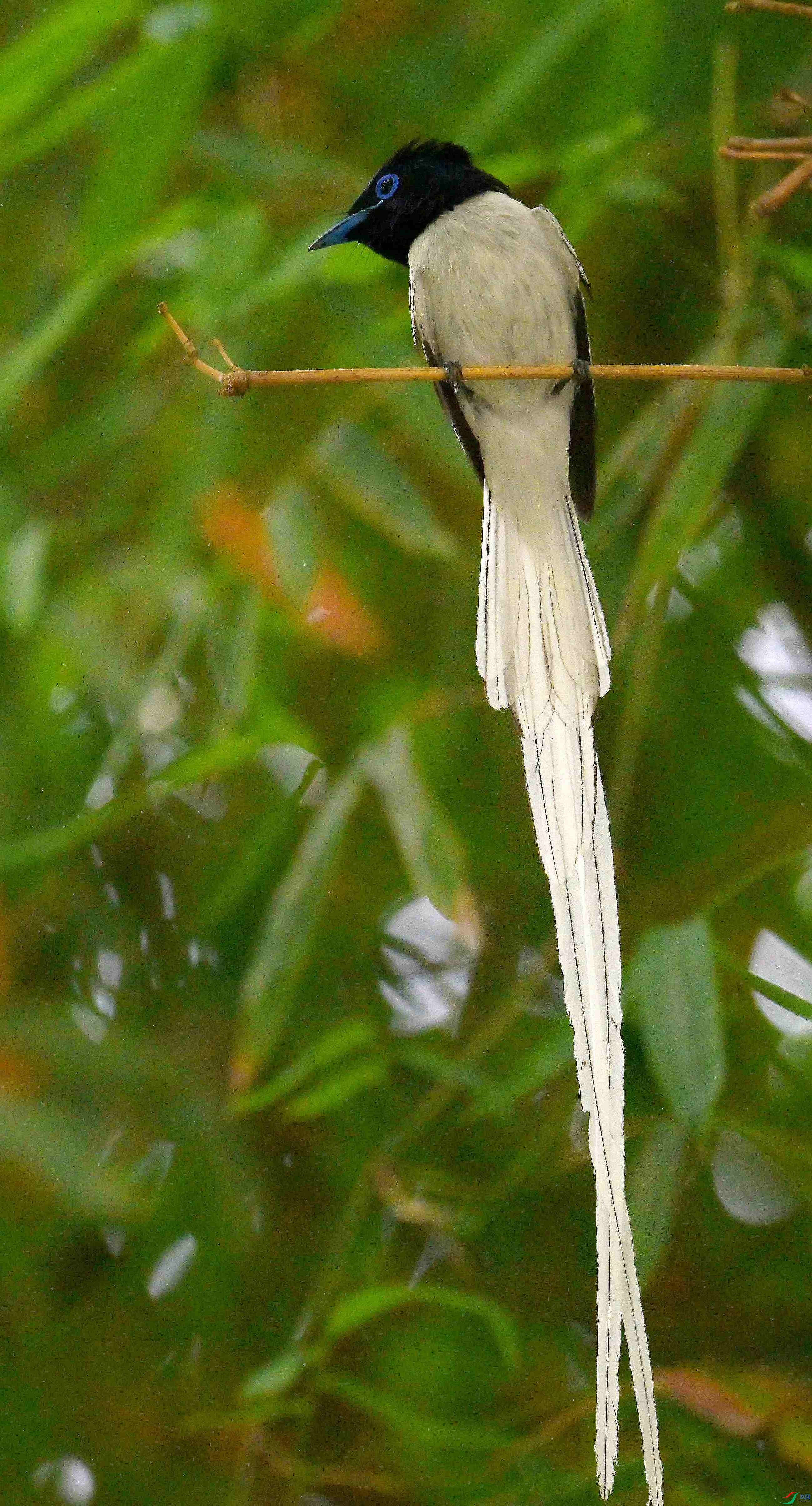 DSC_4042.jpg