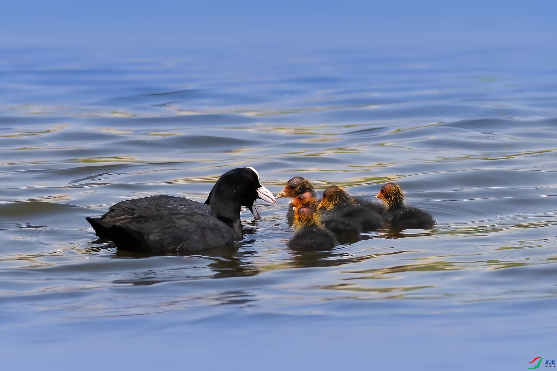 488A3559 ����.jpg