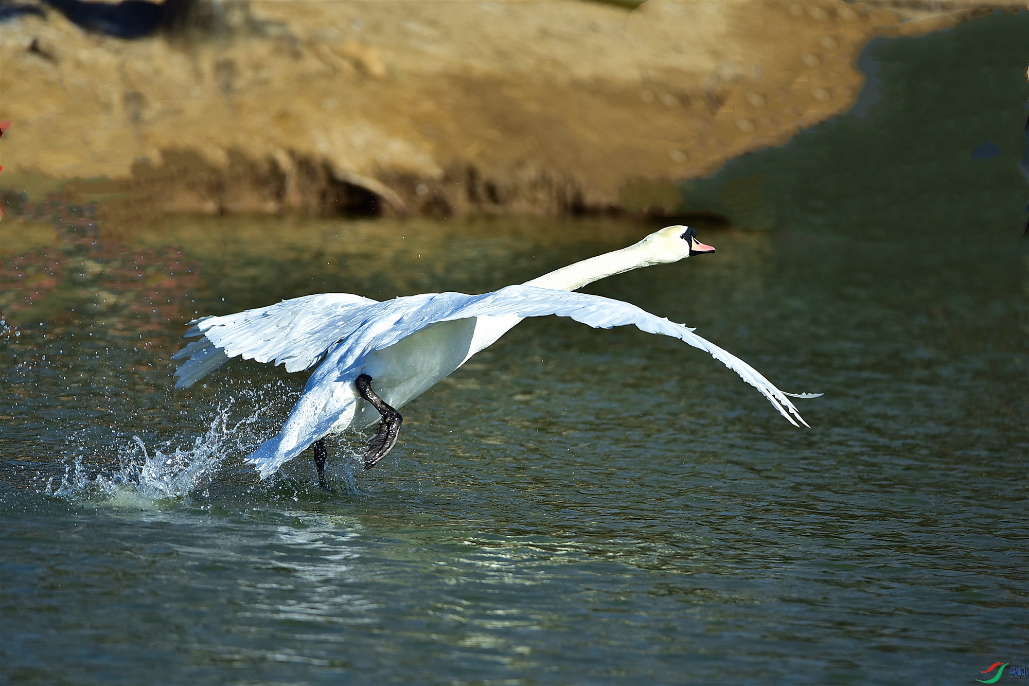 DSC_3459_����.jpg