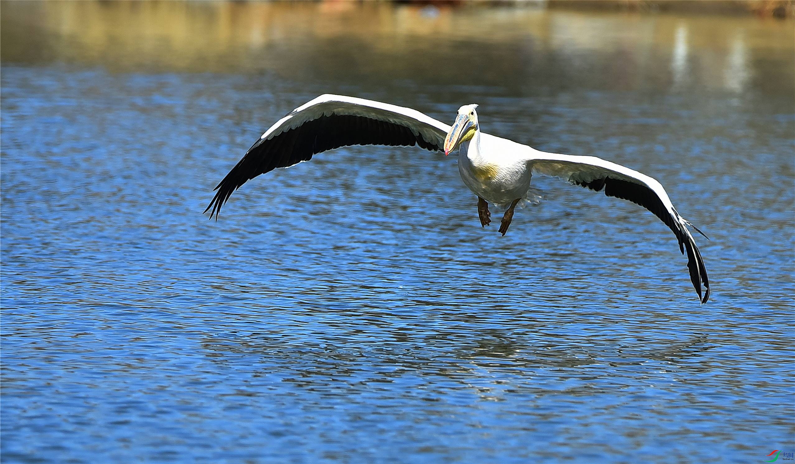 DSC_3756_����.jpg