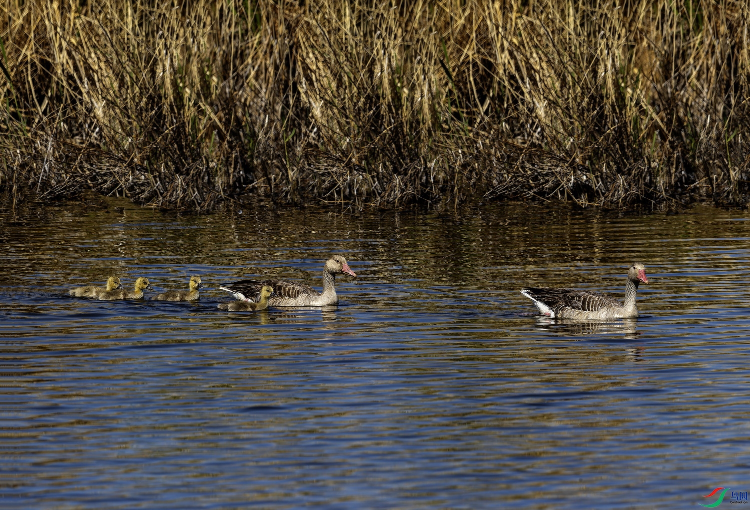 ����  (1)-1.jpg