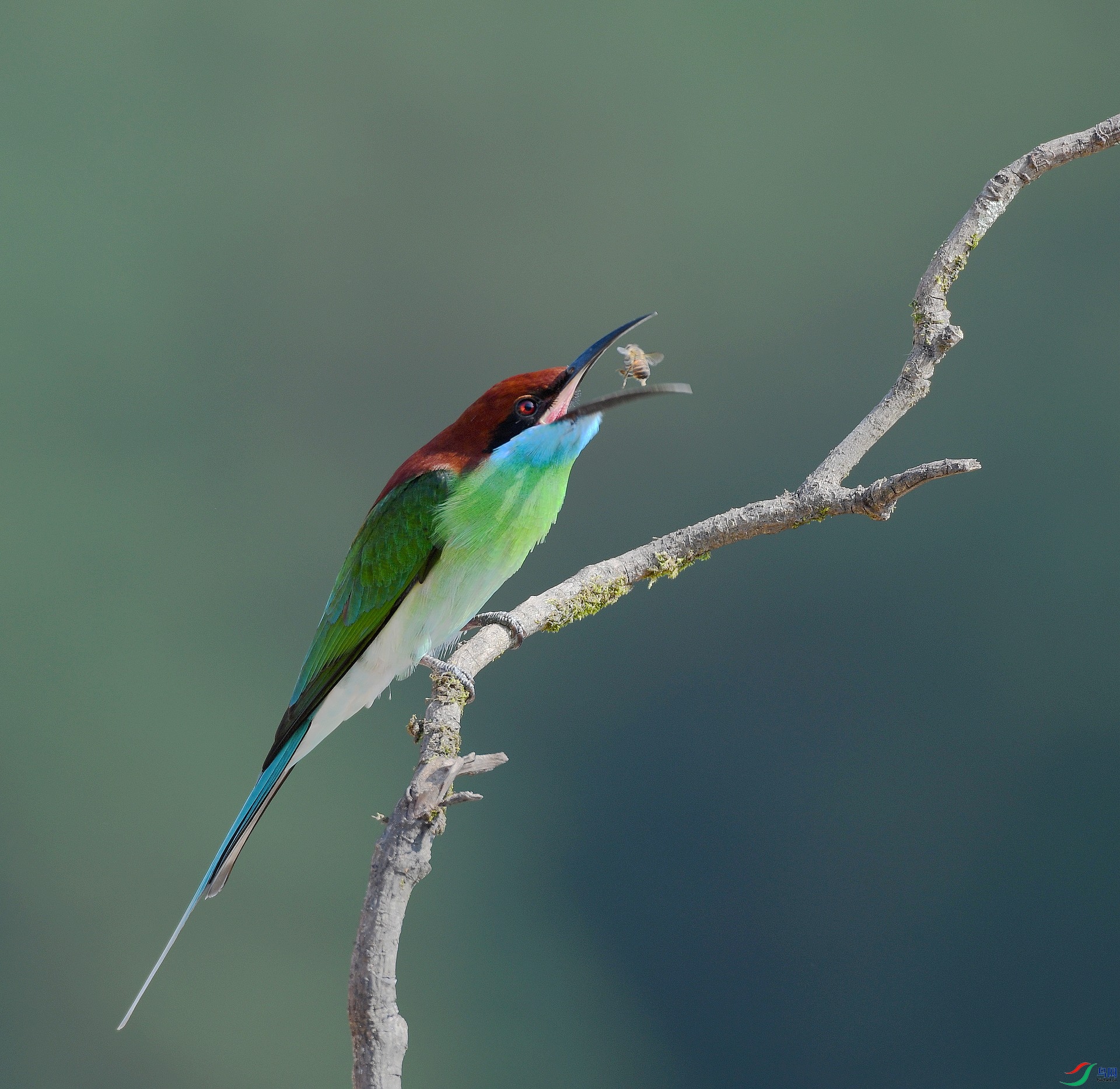 DSC_5889.jpg