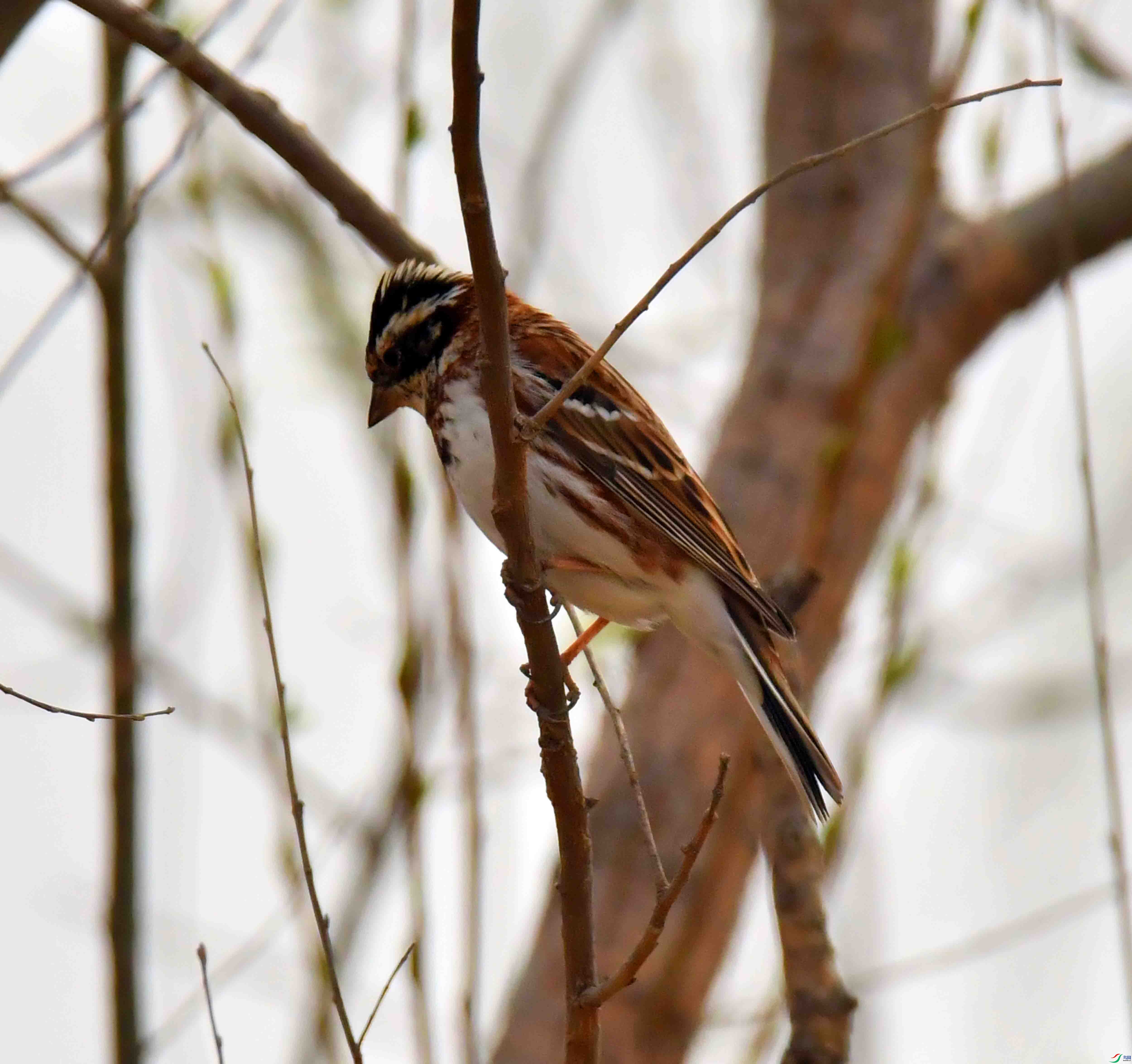 DSC_3576.JPG