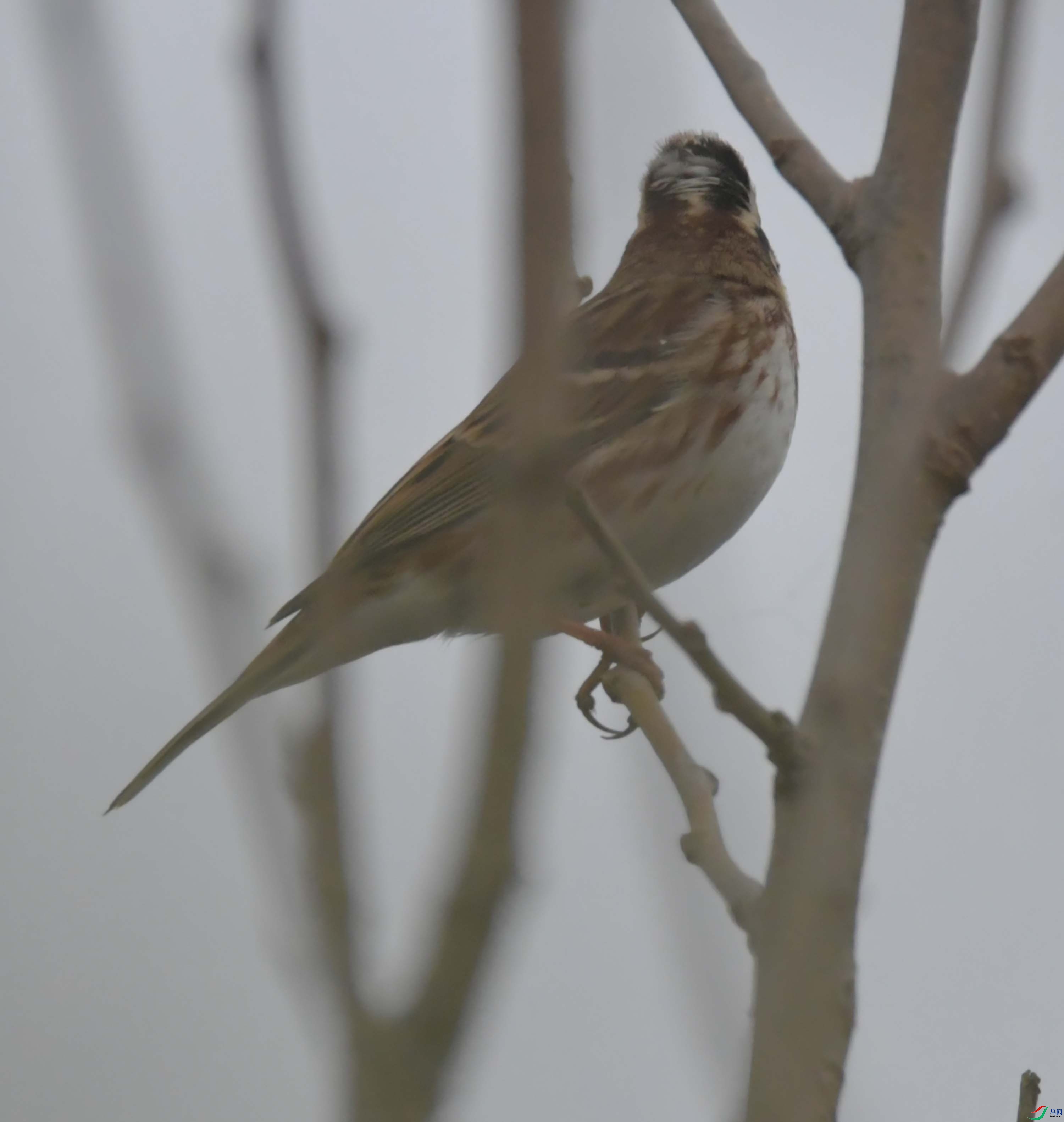 DSC_3766.JPG