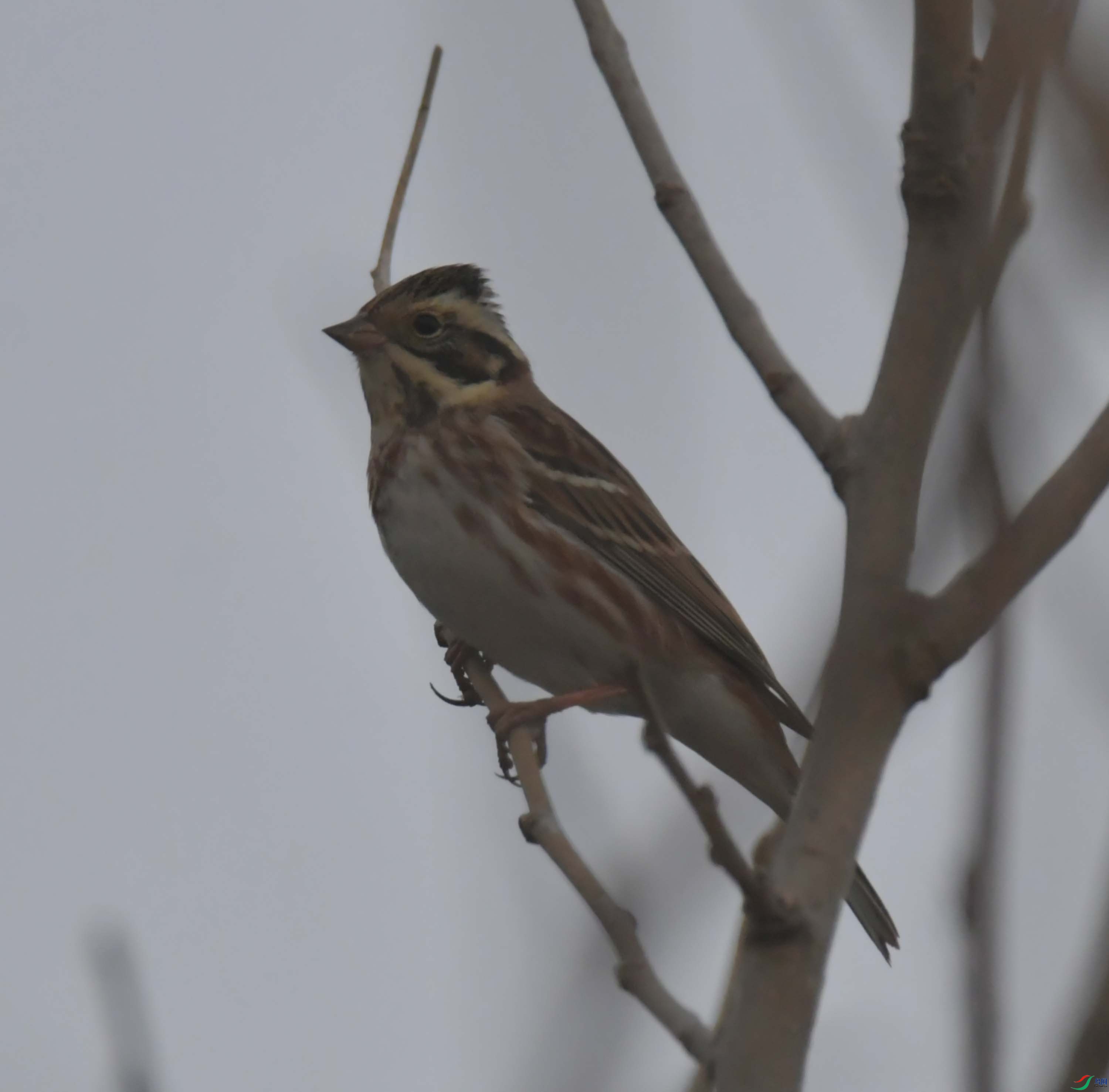 DSC_3788.JPG