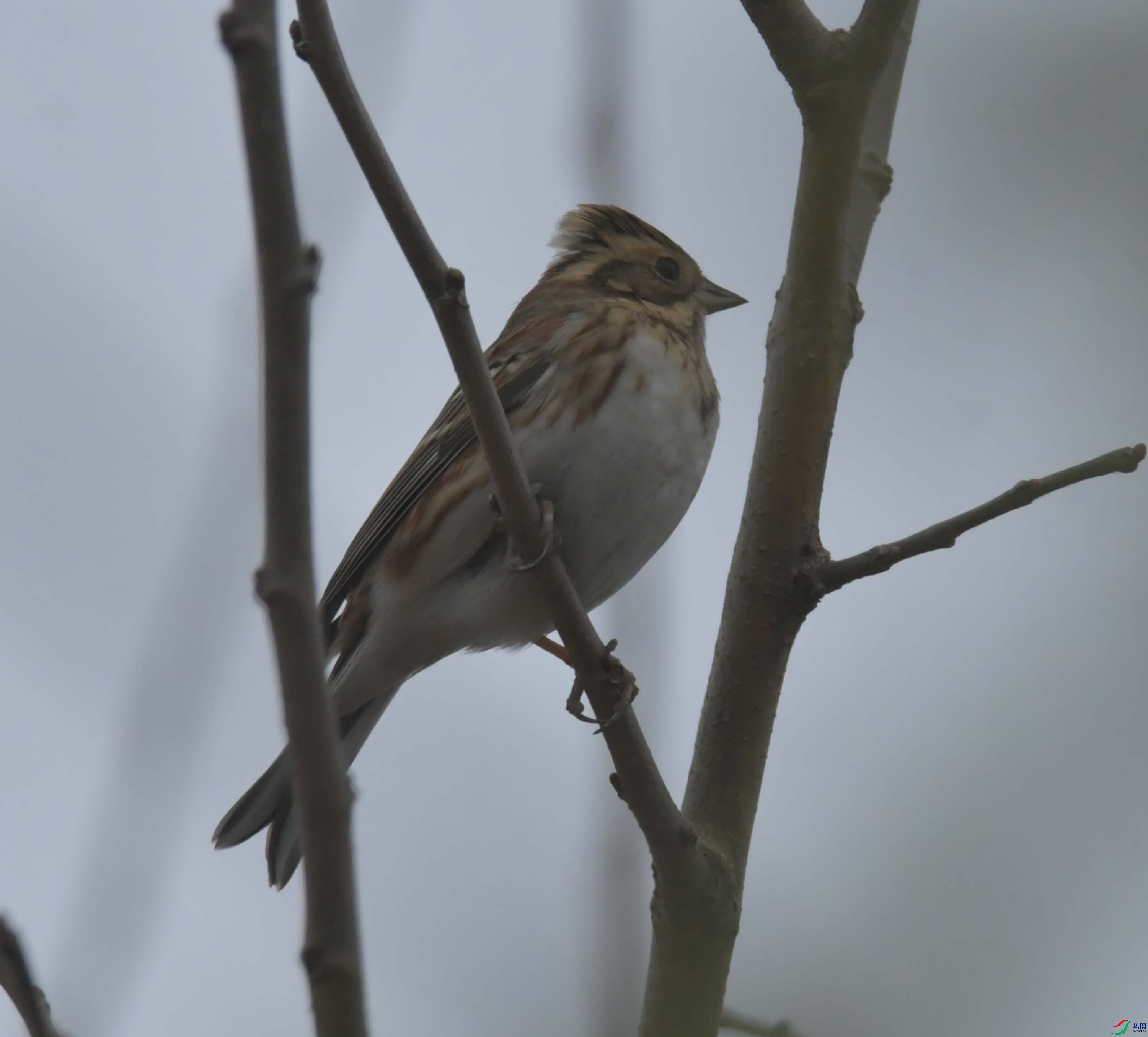 DSC_4340.JPG