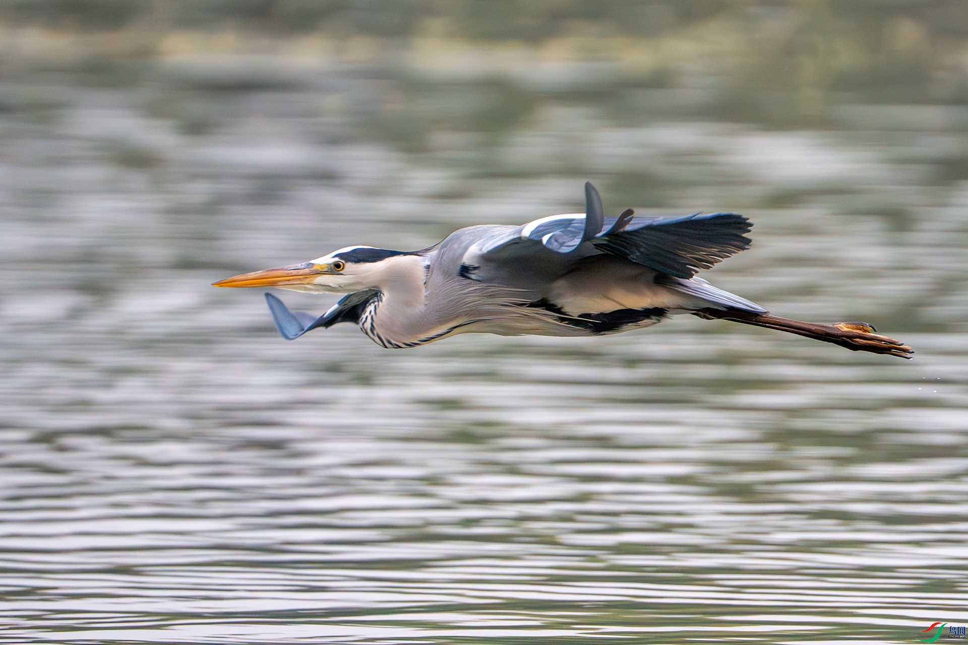 DSC00291-����ǿ-NR ����.jpg