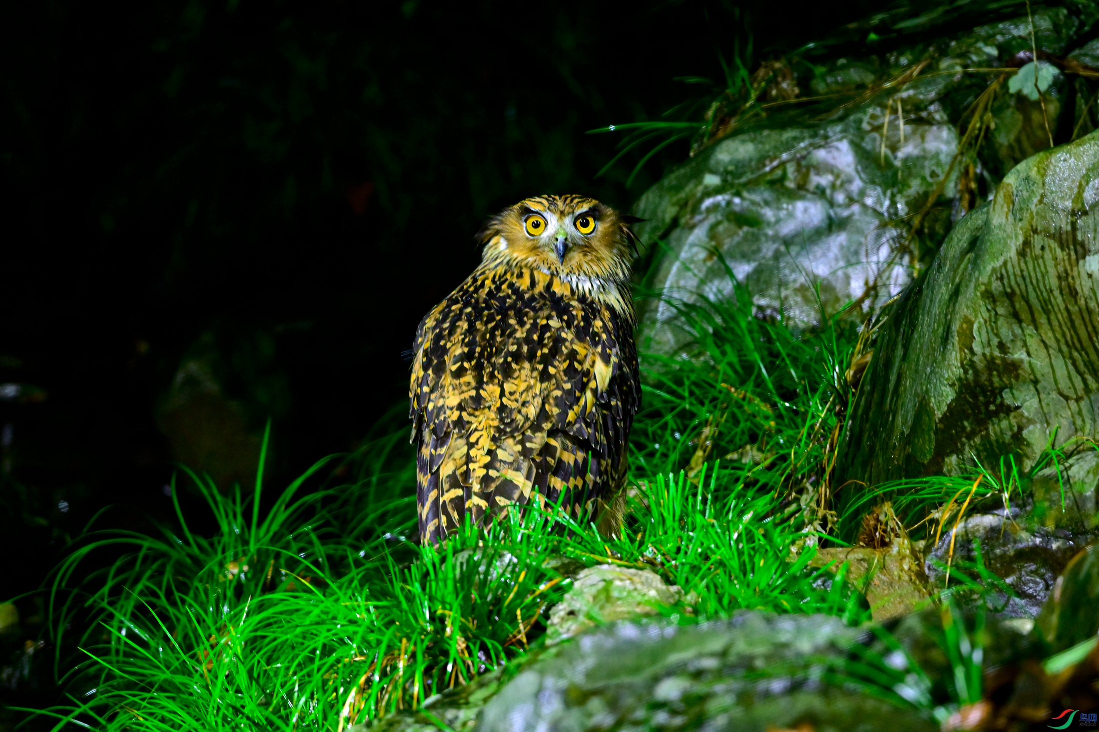 _DSC1634x.jpg