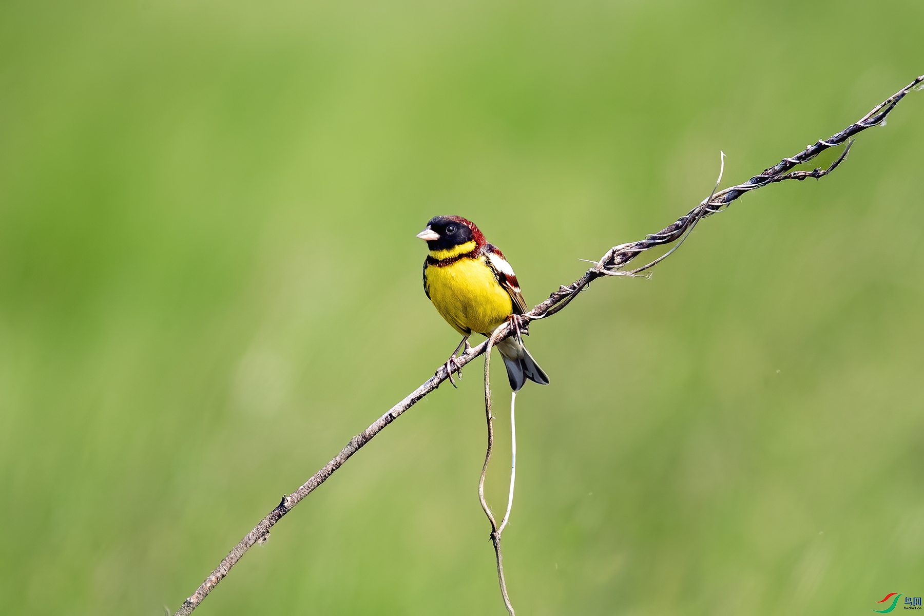 AW4I9118 ����.jpg