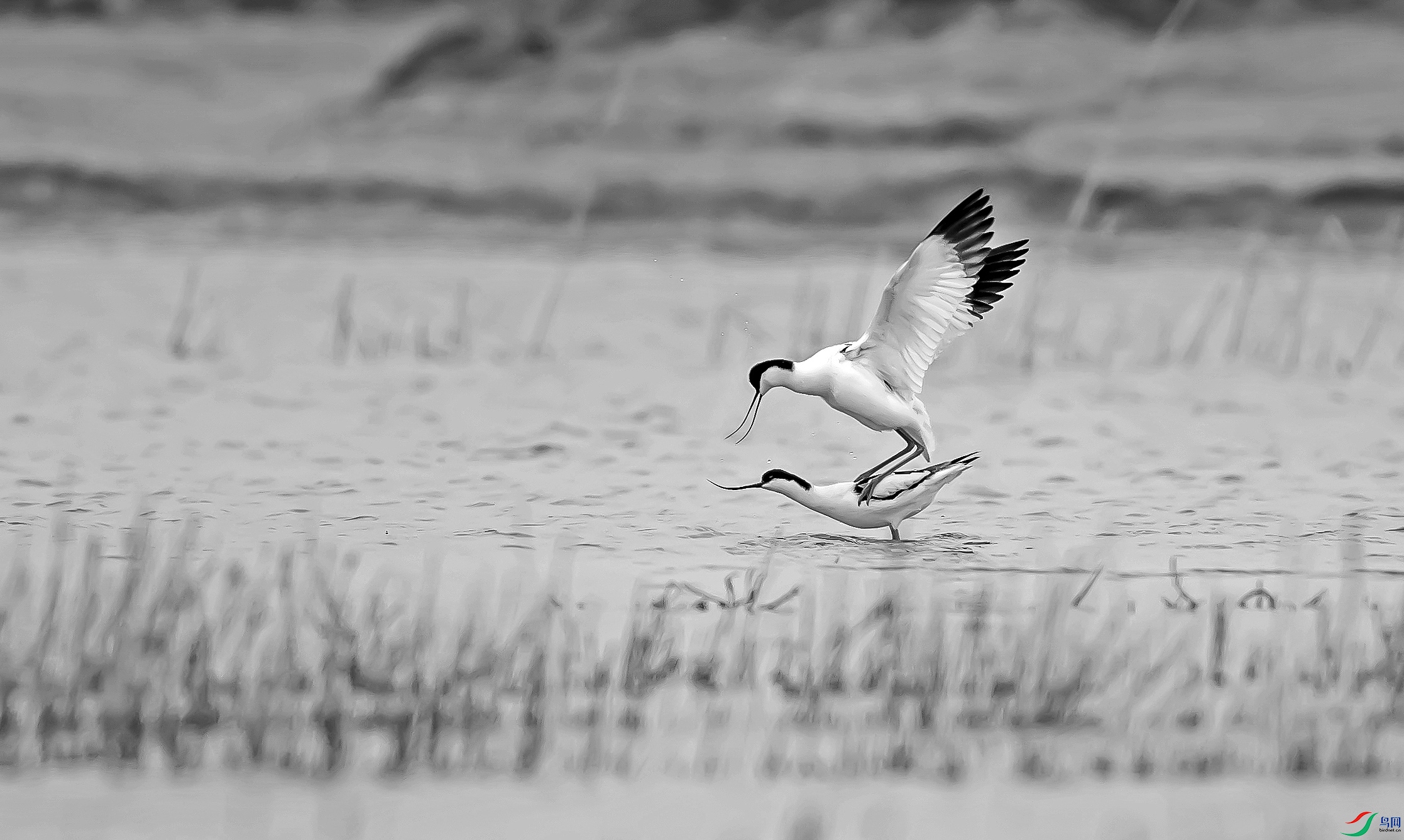DSC_3639.jpg
