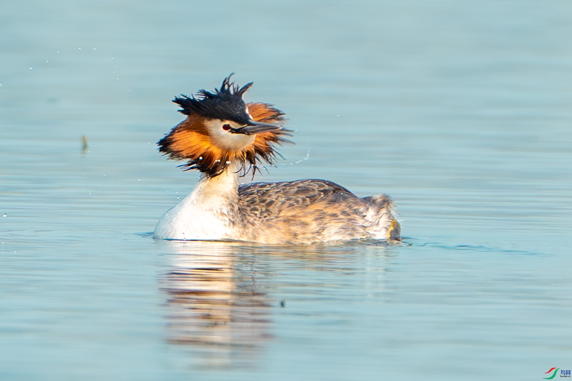 DSC03143-����ǿ-NR-1 ����.jpg