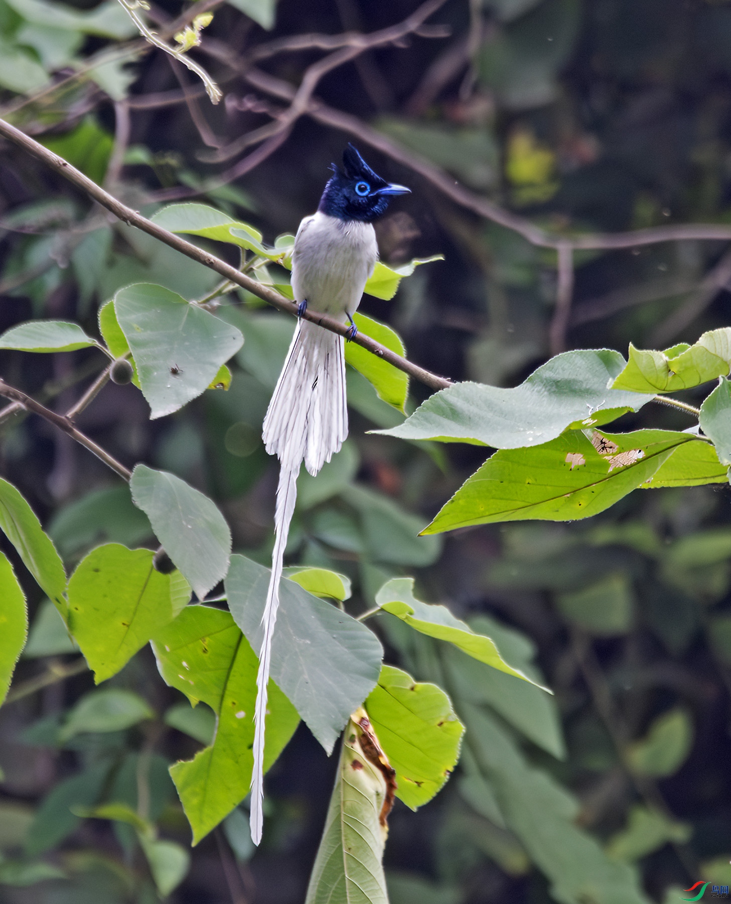 DSC_9241-����ǿ-NR ����.jpg