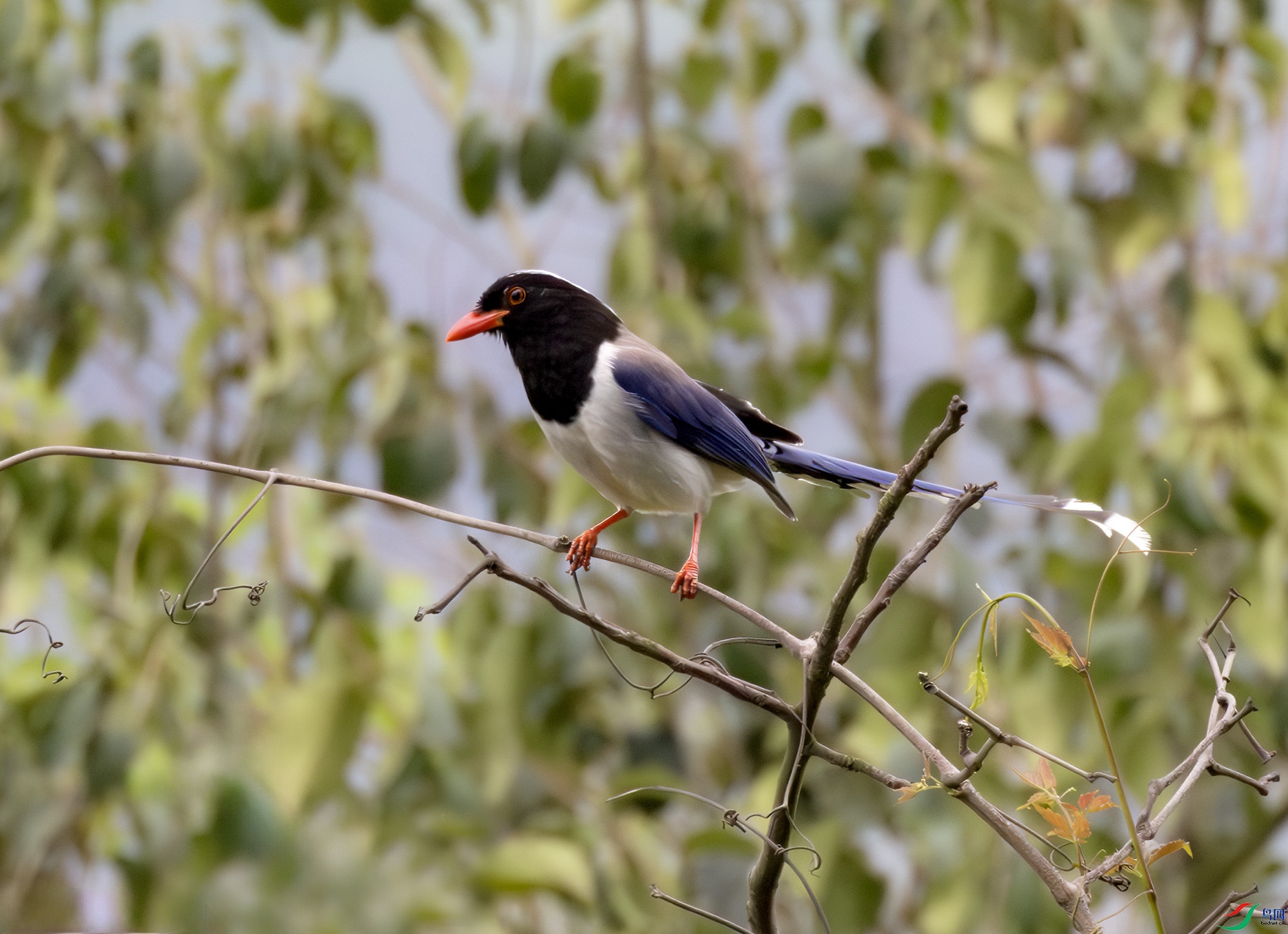 2I1A0052-����ǿ-NR ����.jpg