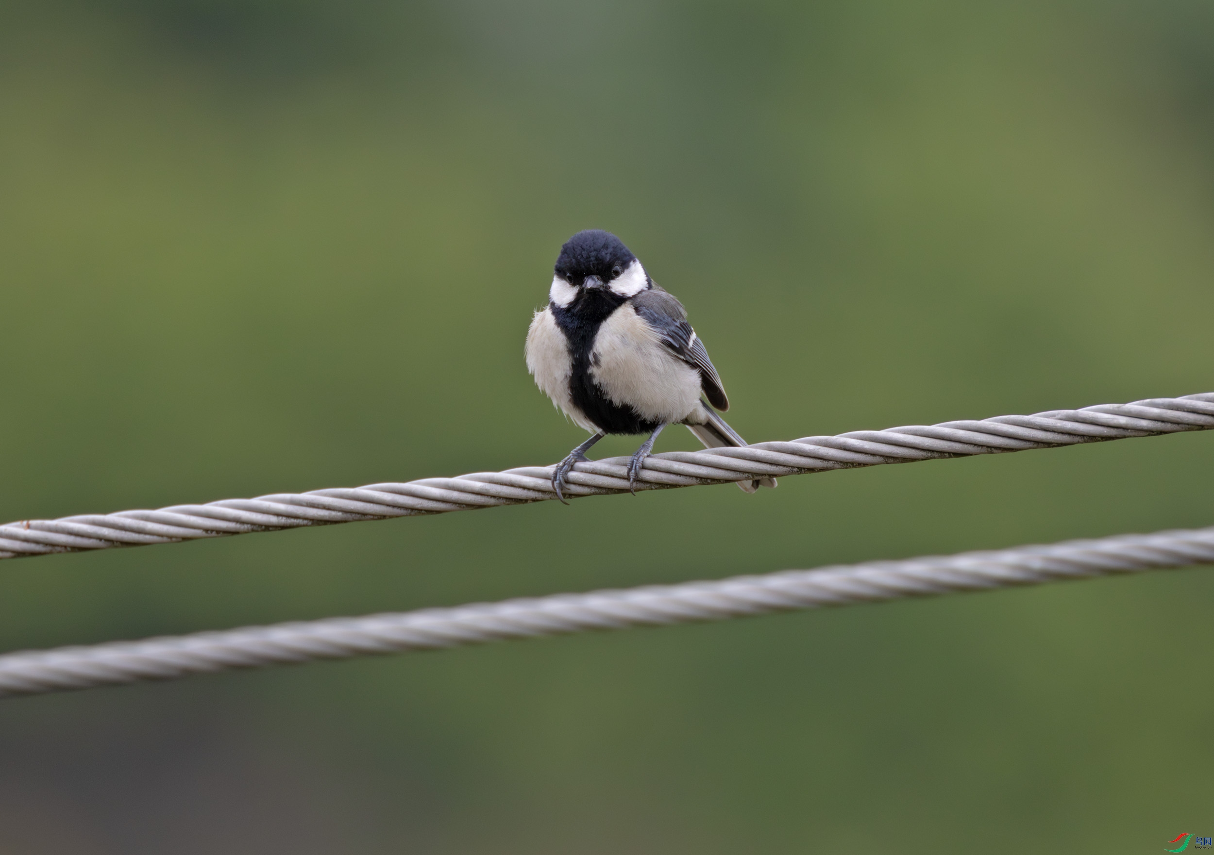 2I1A0540-����ǿ-NR ����.jpg