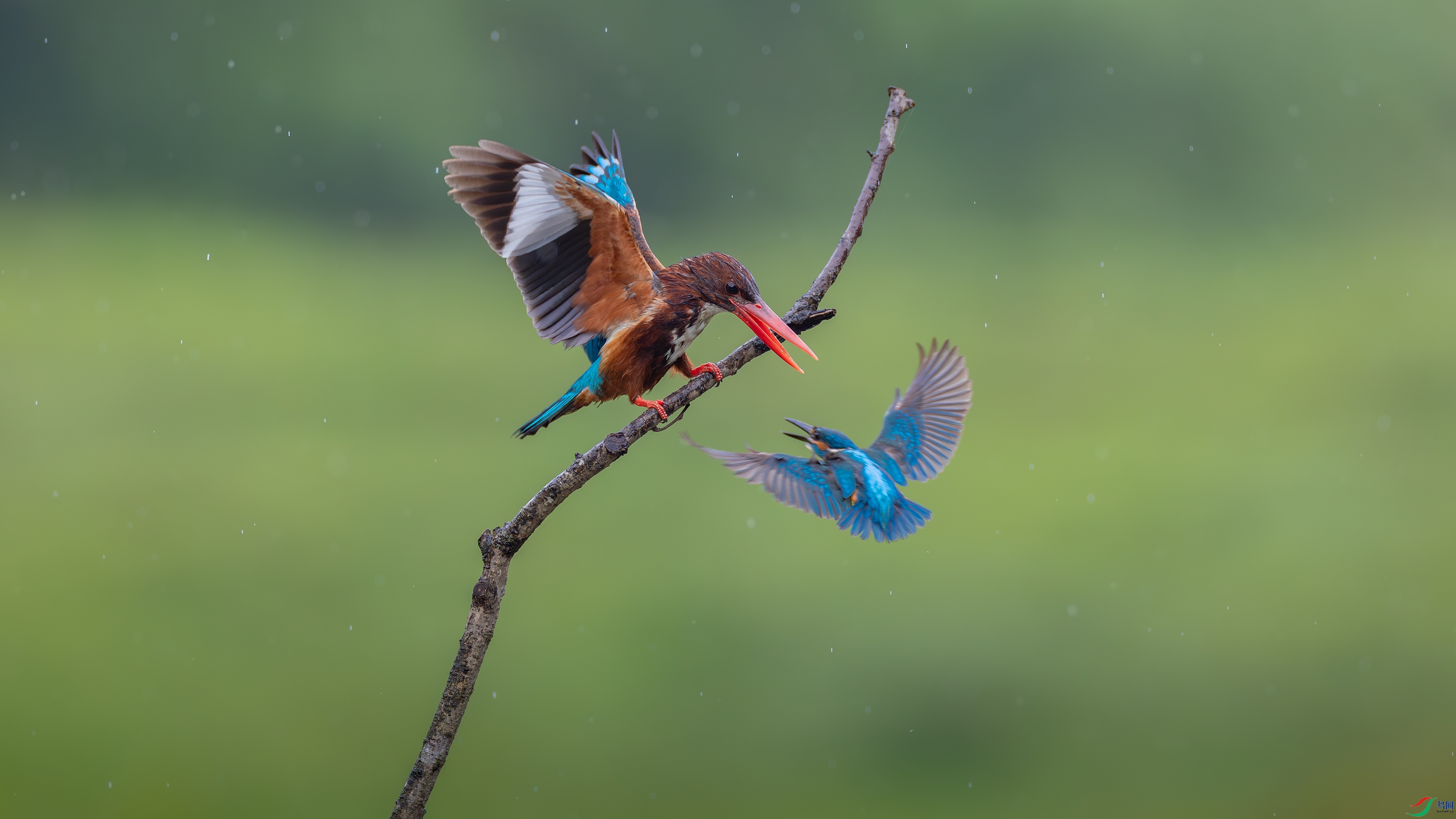 _O9A2751-����ǿ-NR.jpg
