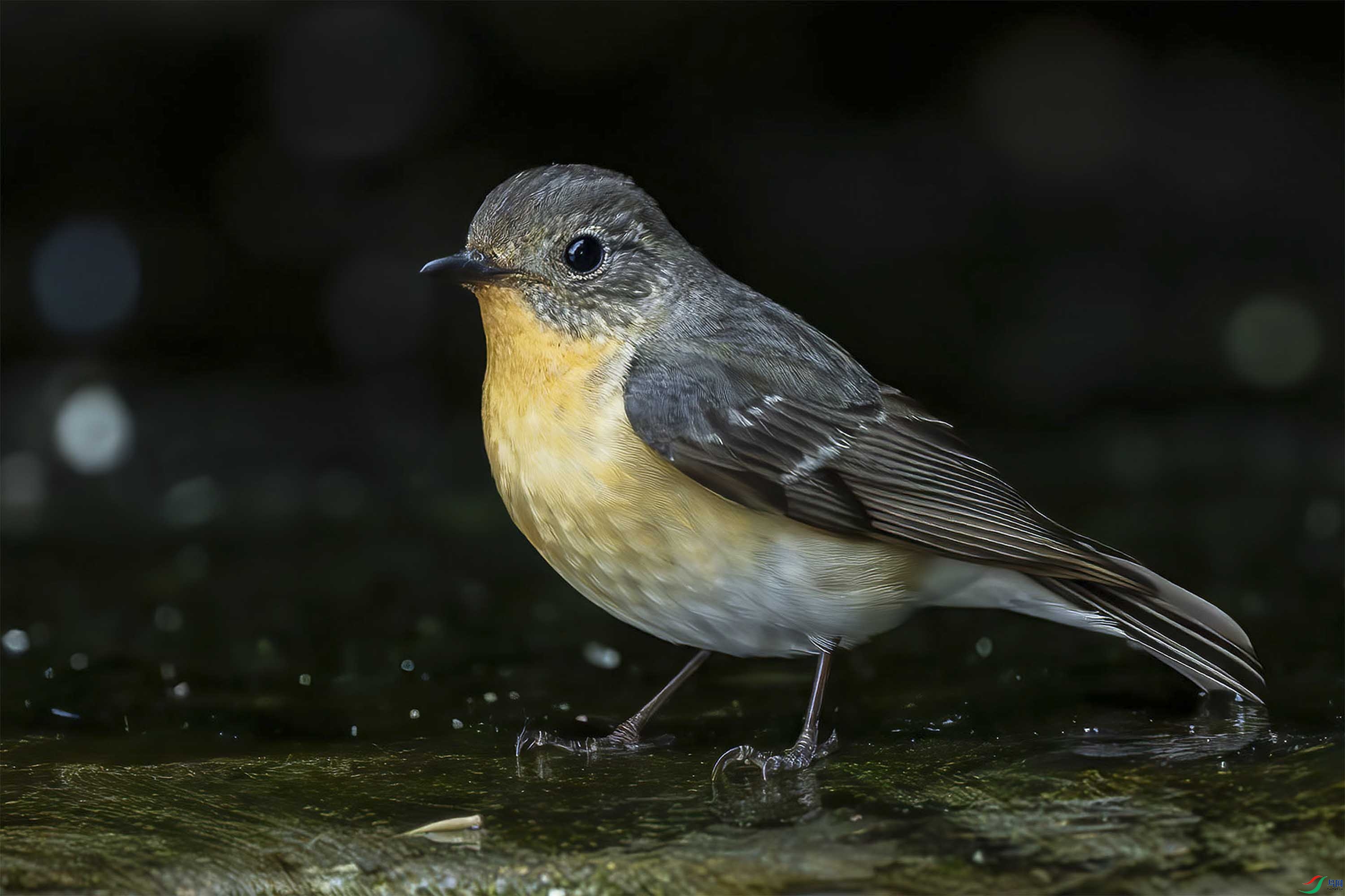 _DSC2066- ����.jpg