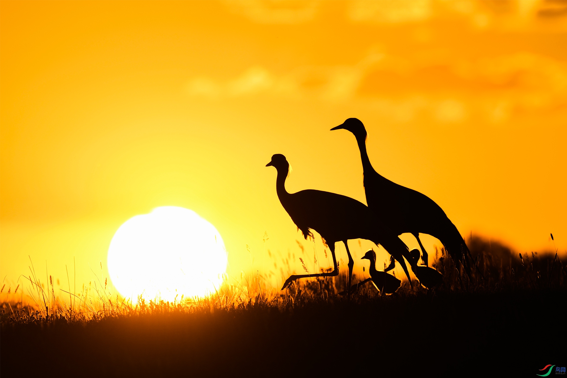 XQD_0636 ����.jpg