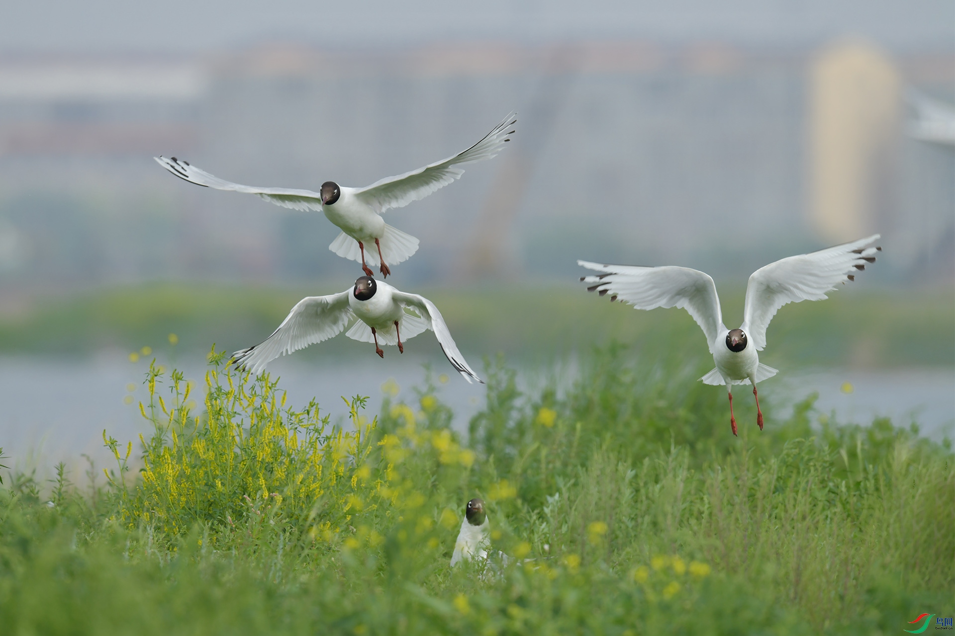 XQD_4398 ����.jpg