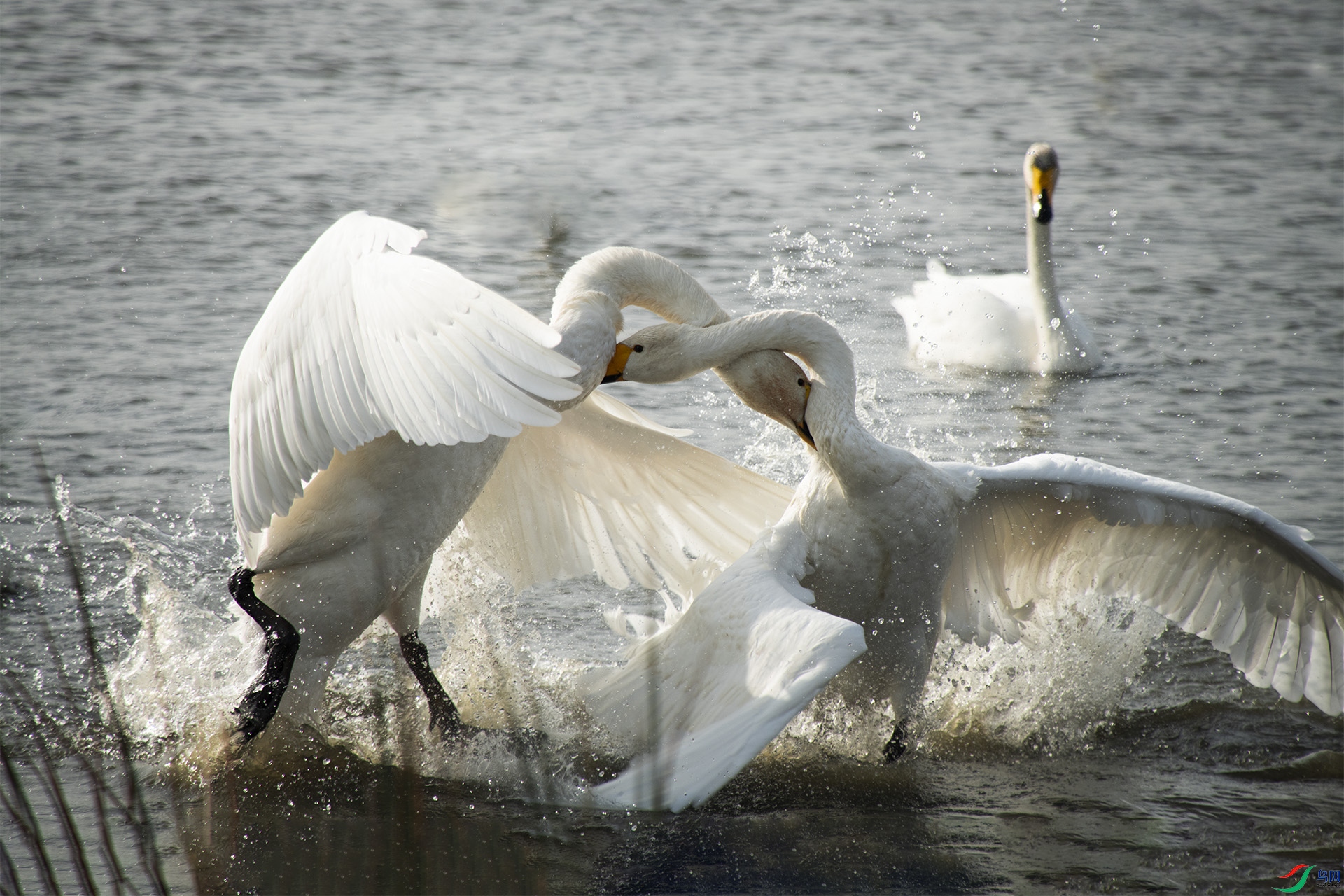 XQD_8094 ����.jpg