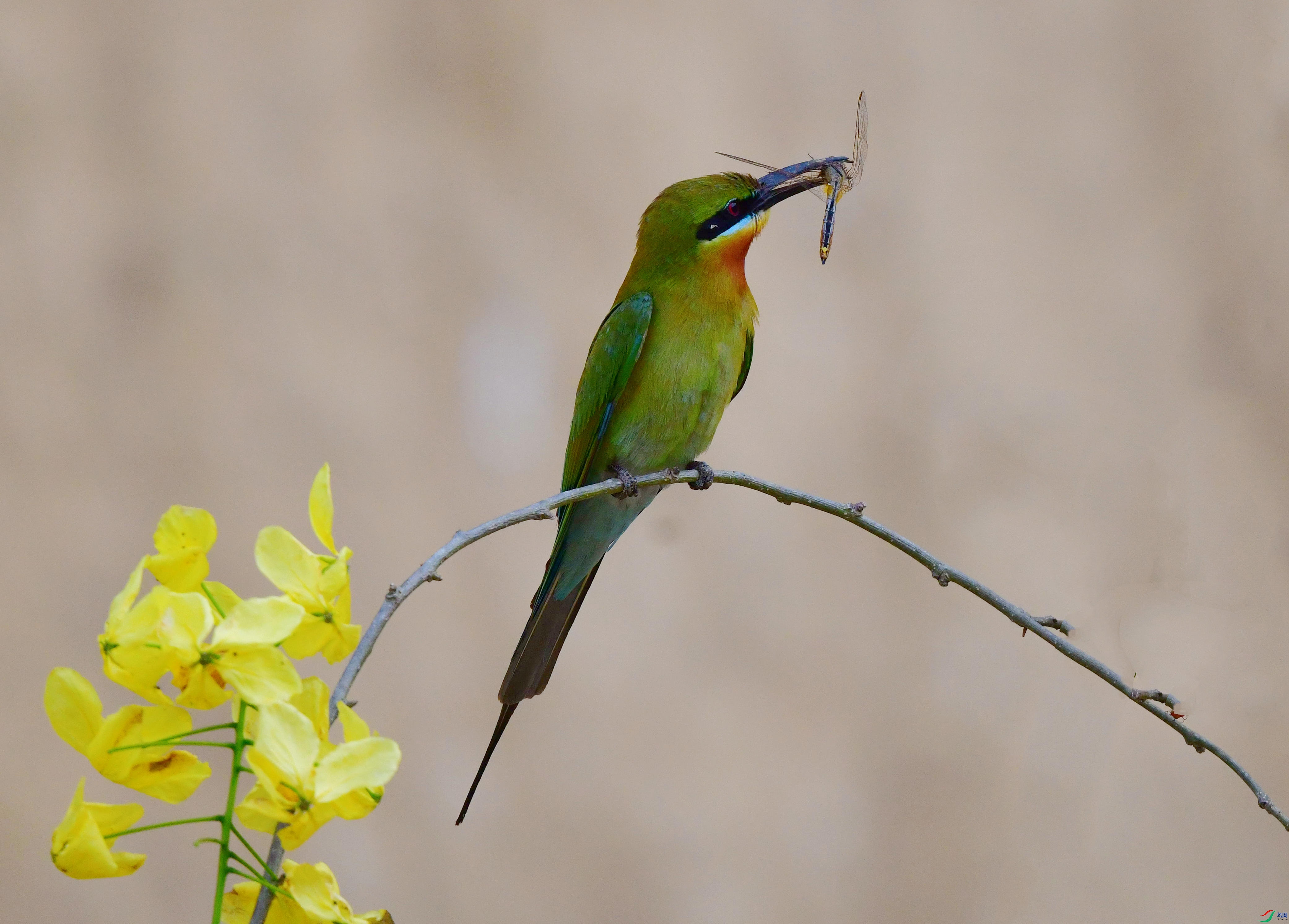 DSC_8167_��ͼ��_����.jpg