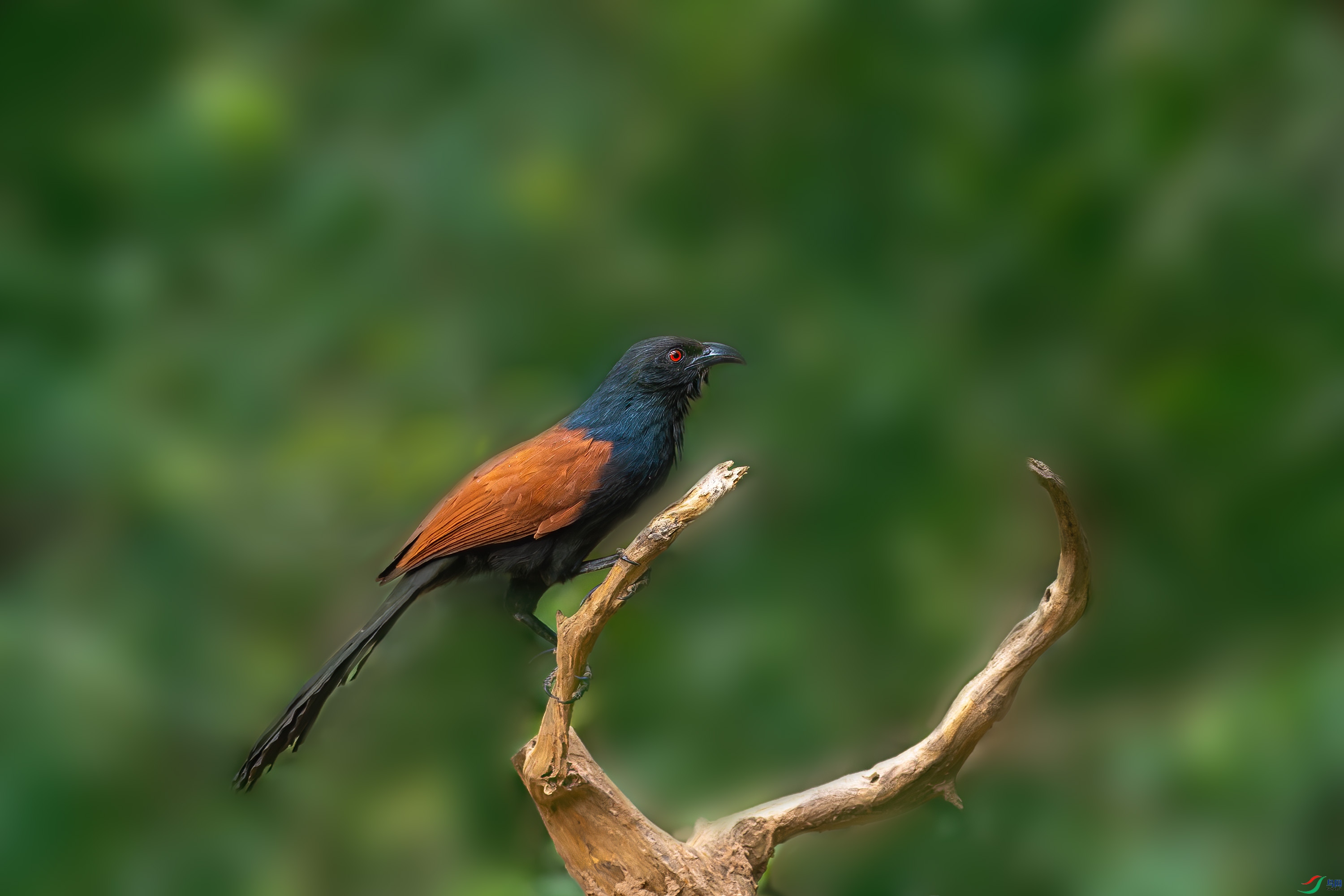 DSC_8912-1.jpg