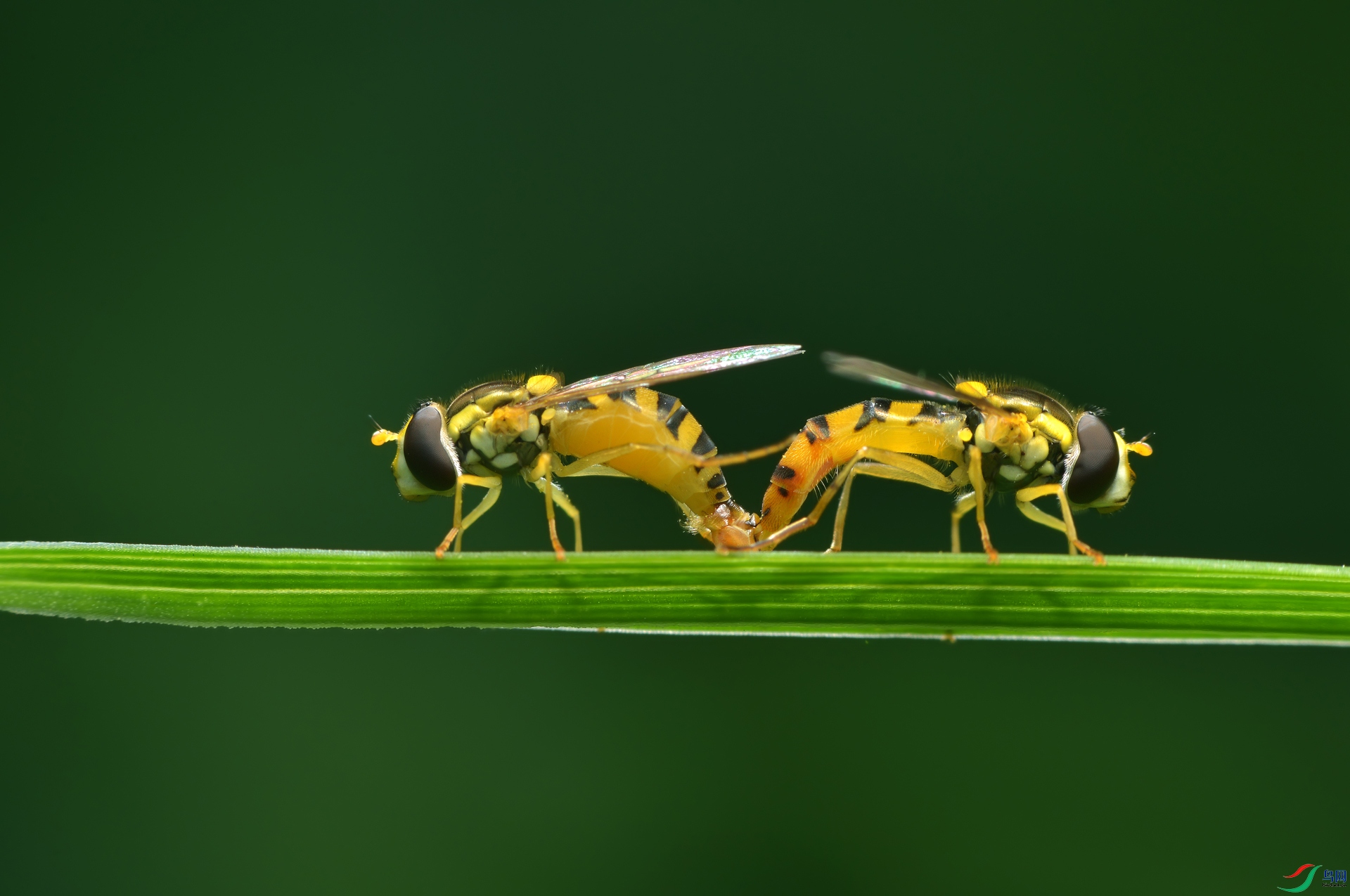 DSC_2855 ����.jpg