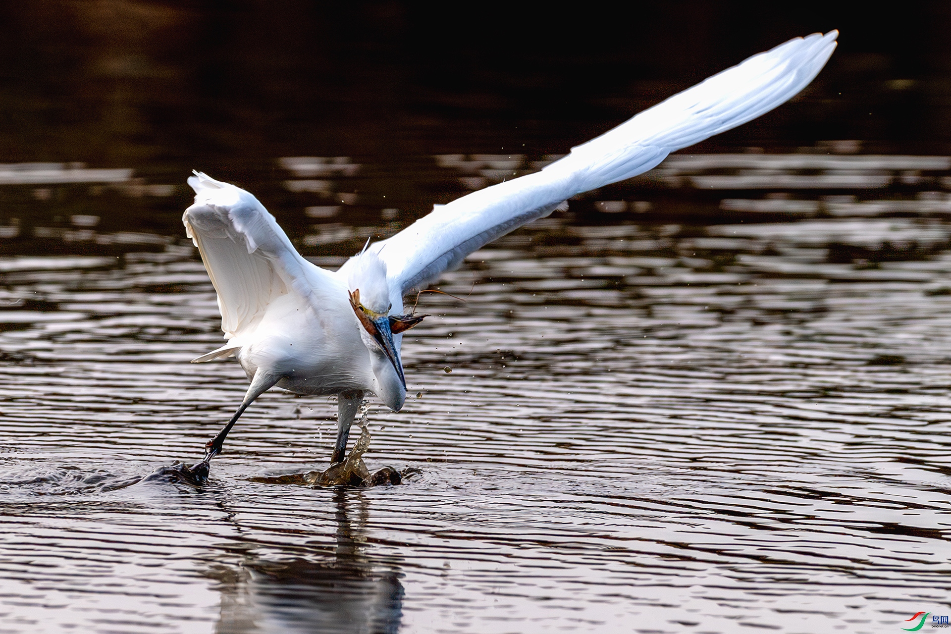 20250522�ջ� ����.jpg