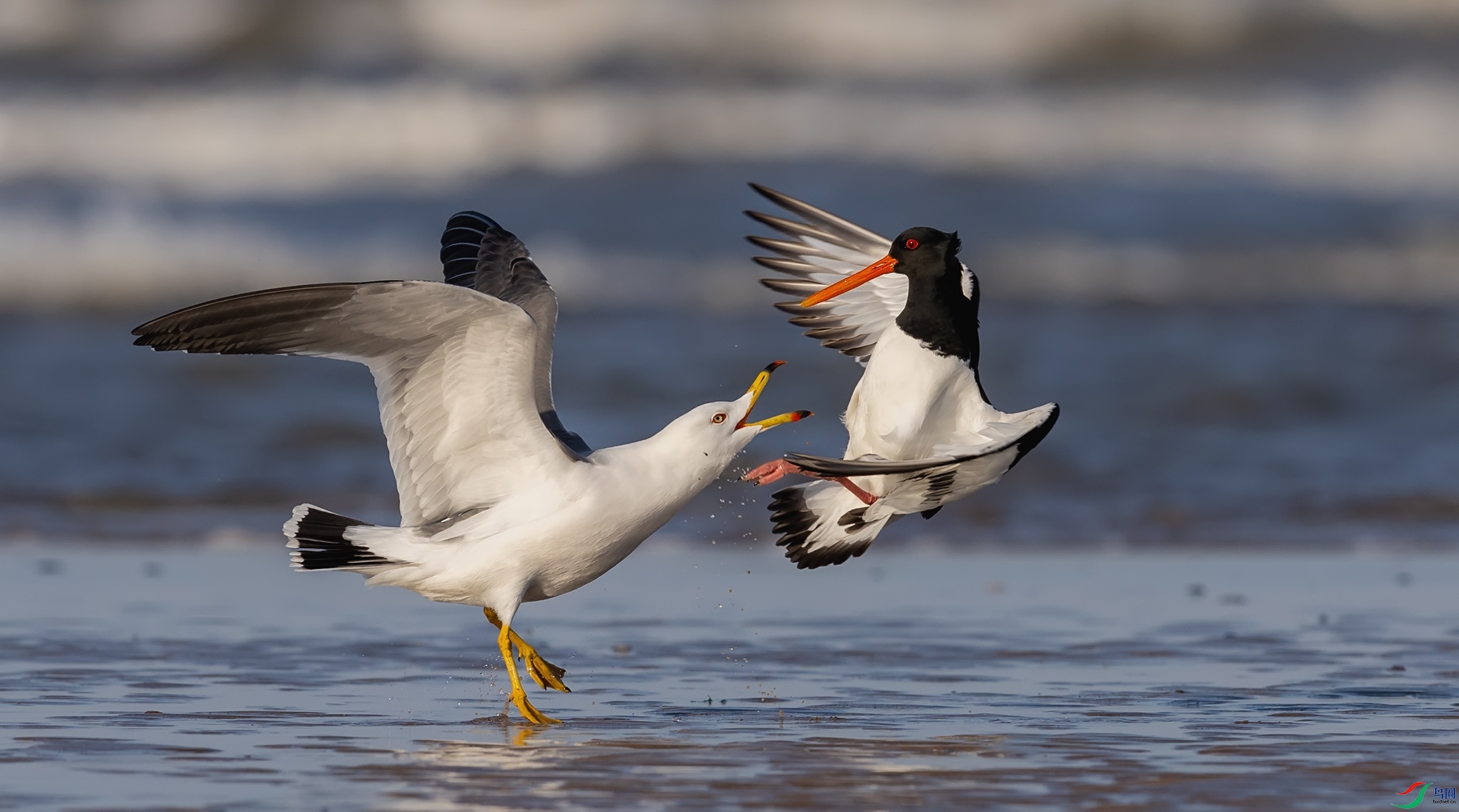 ��βŸ������