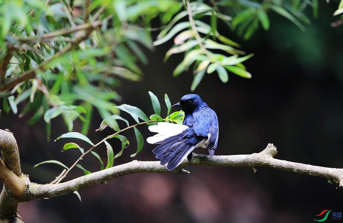 ���� IMGL1156ȵ�.JPG