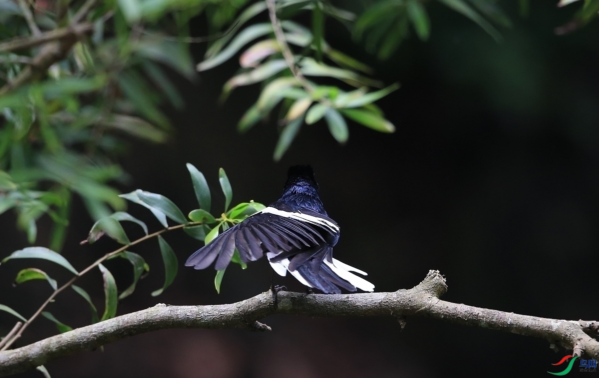 ���� IMGL1180.JPG