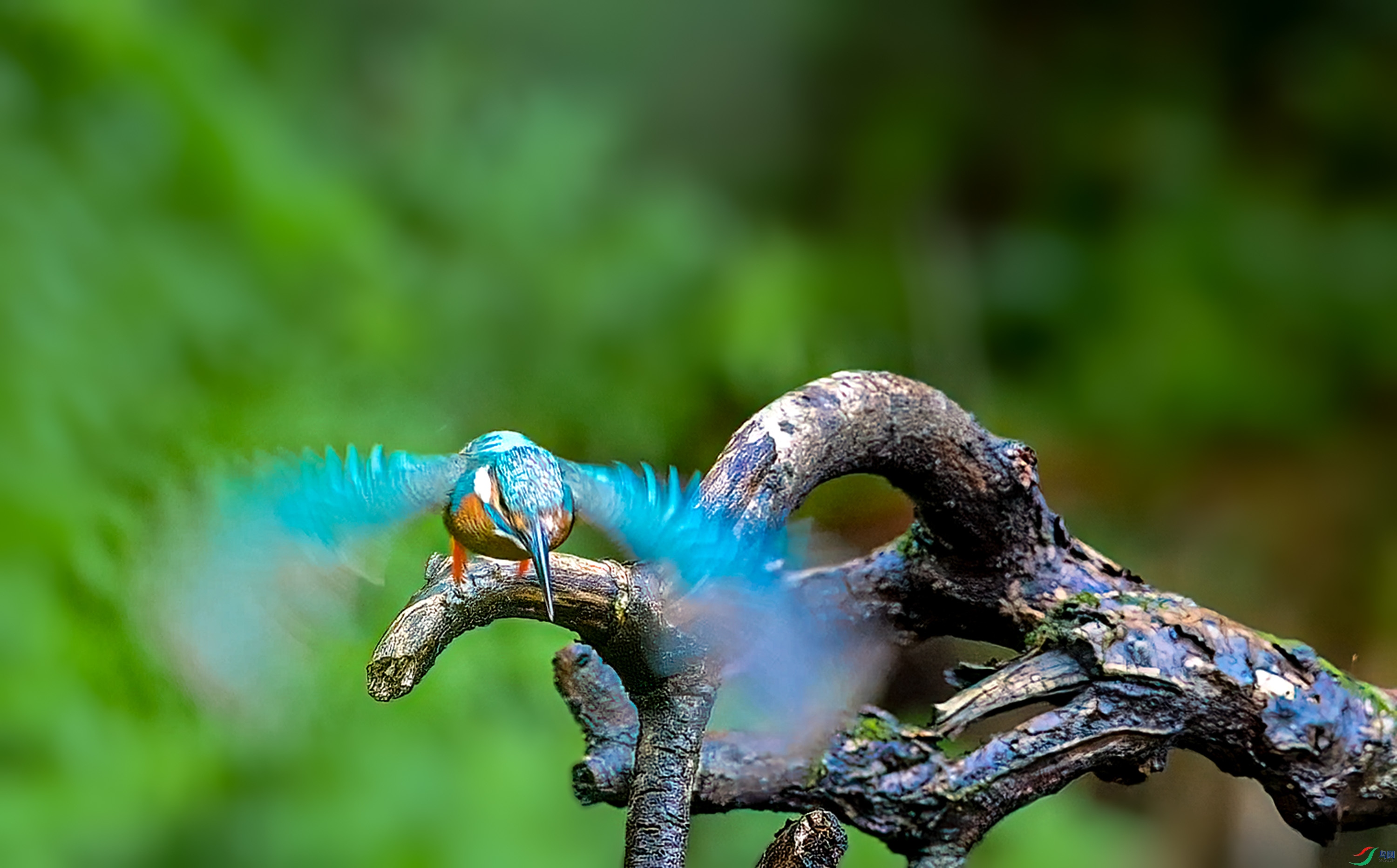 DSC_6580.jpg
