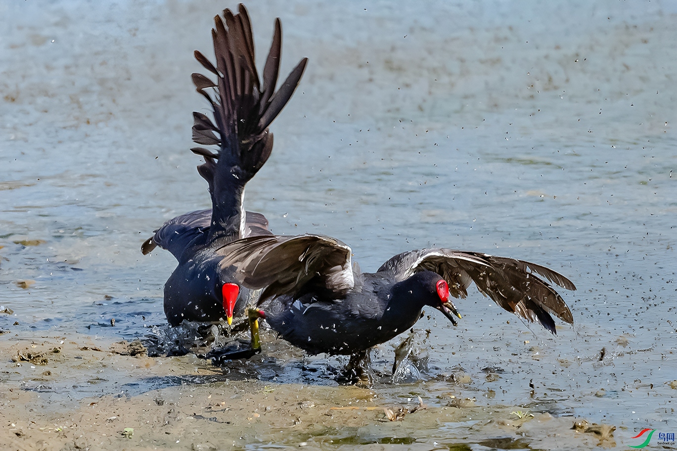 DSC_1926=.jpg