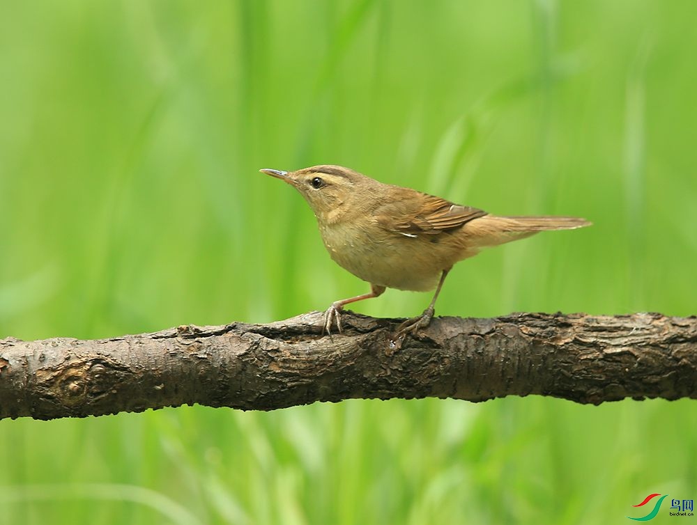 D72T4573.JPG