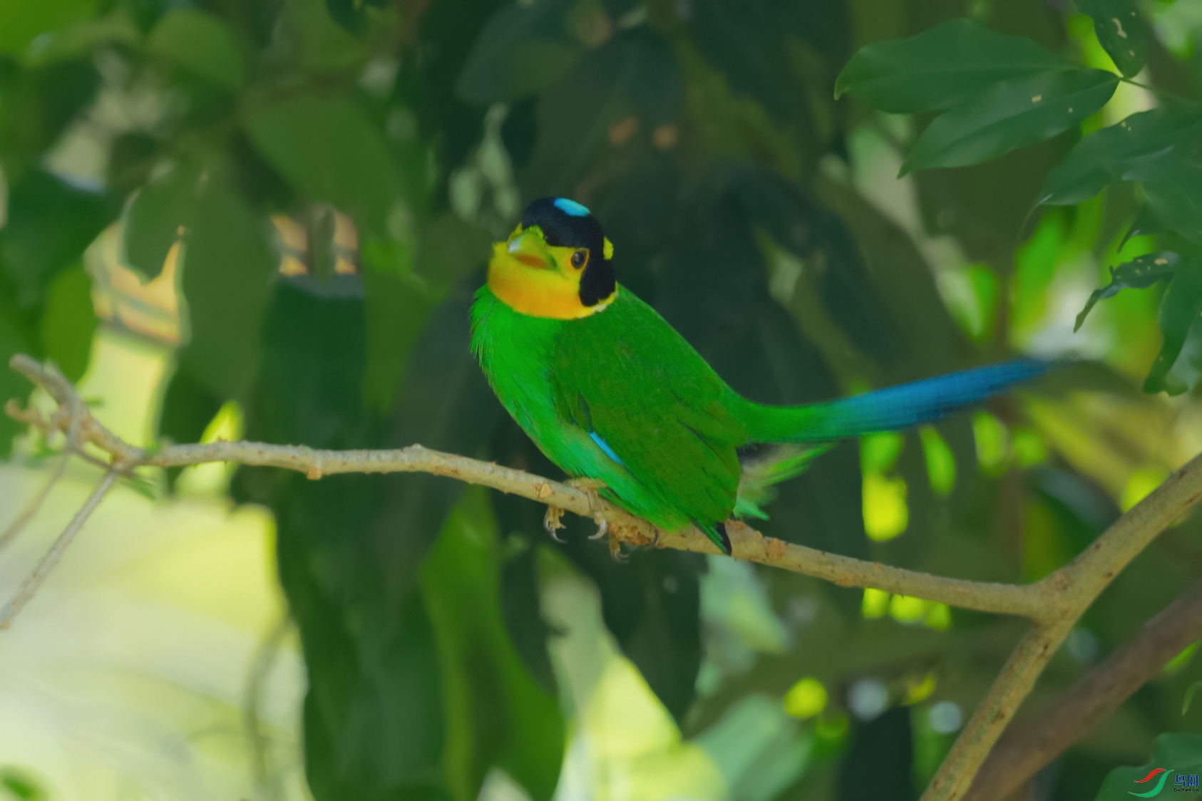 2DSC_0672_DxOa.jpg