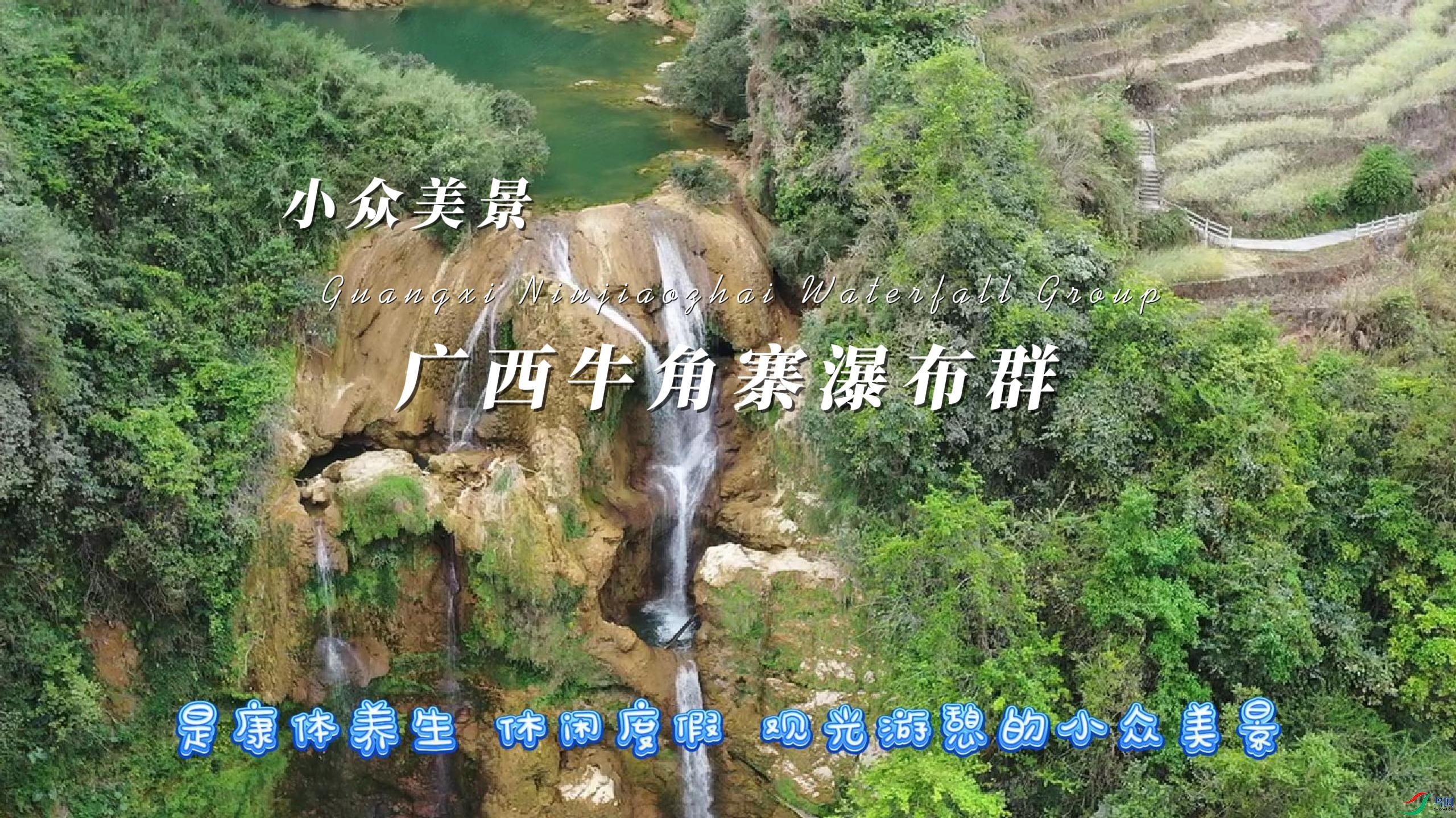 С������ ����ţ��կ�ٲ�Ⱥ����.jpg