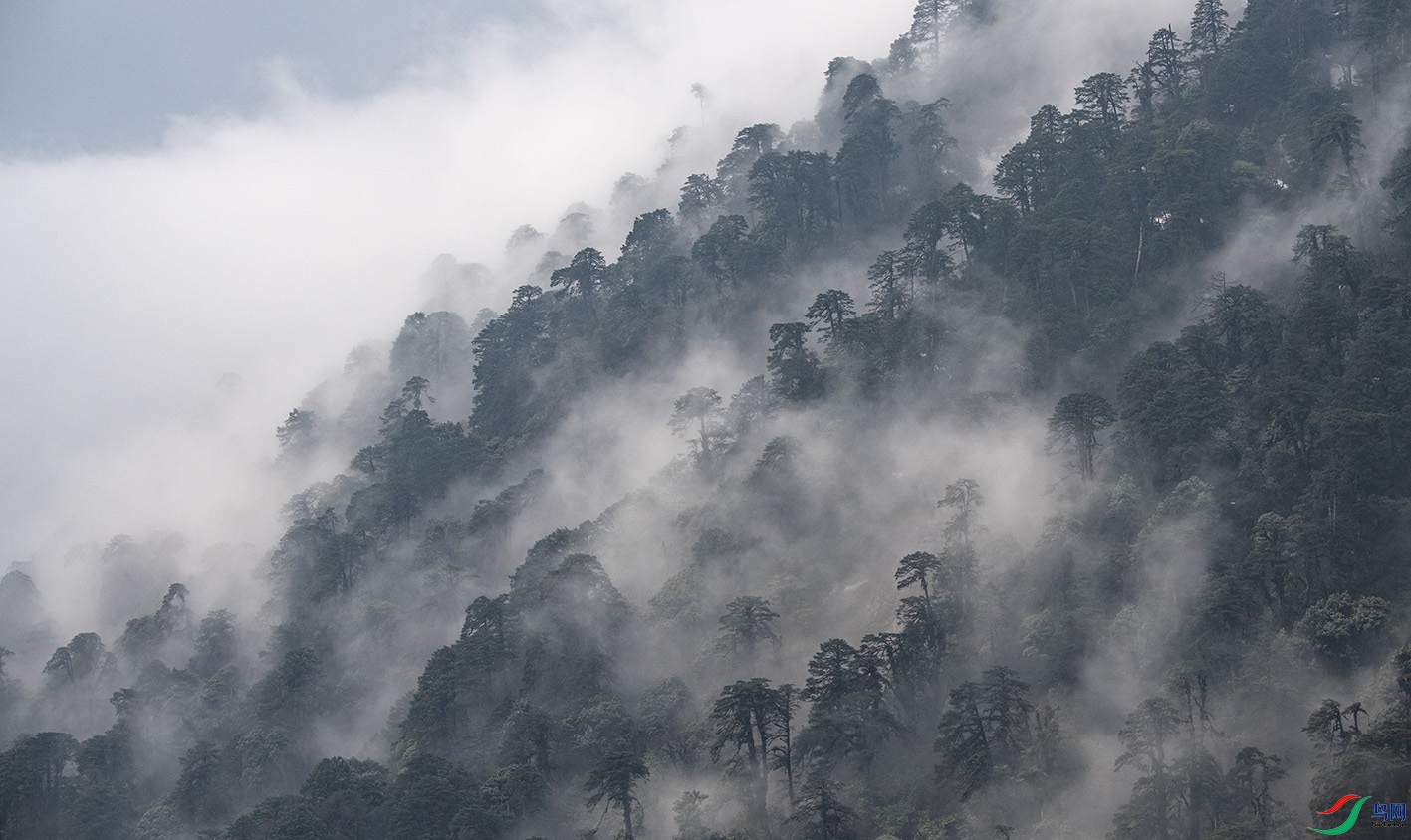 _DSC1869 ����.jpg