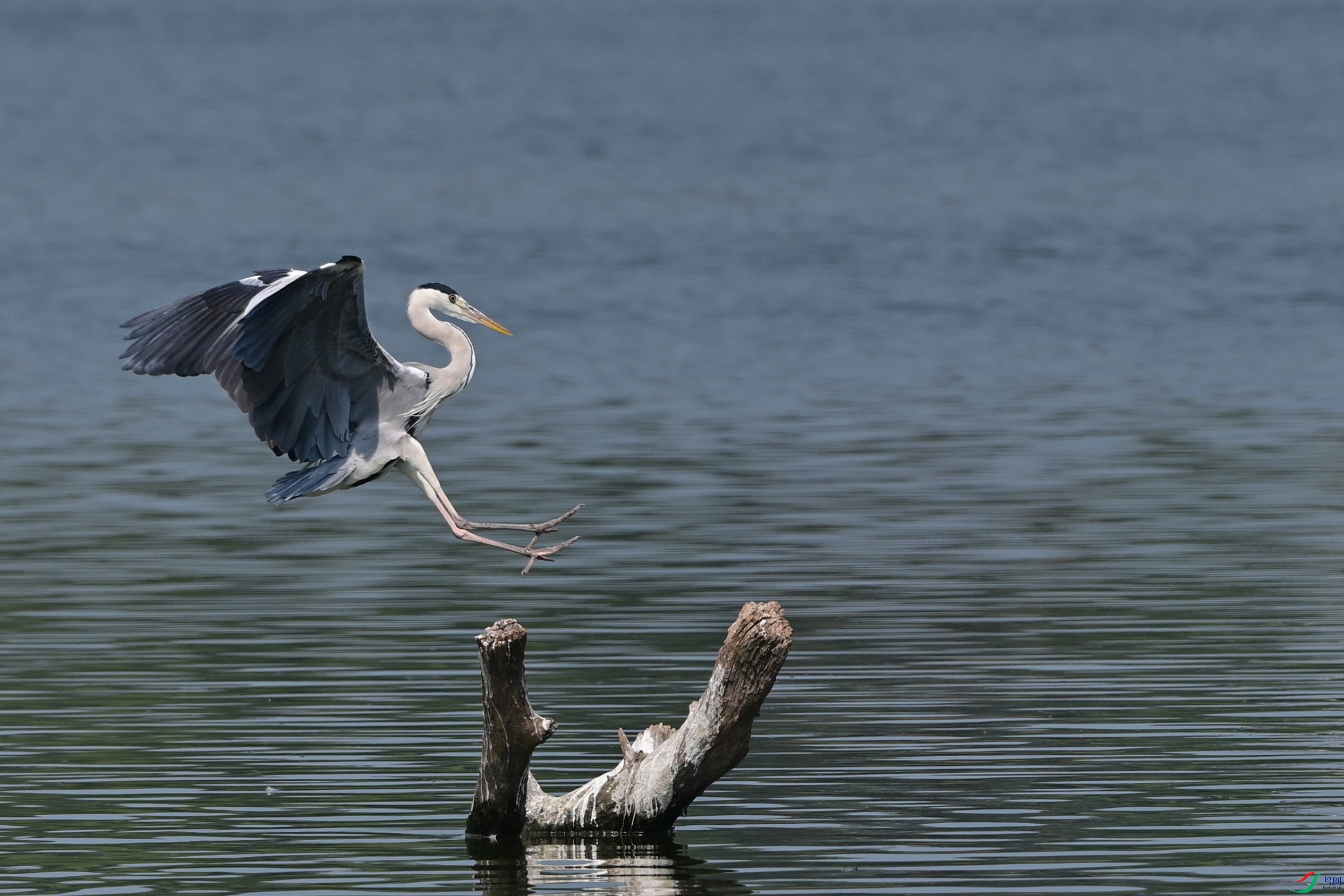 DSC_3868.jpg